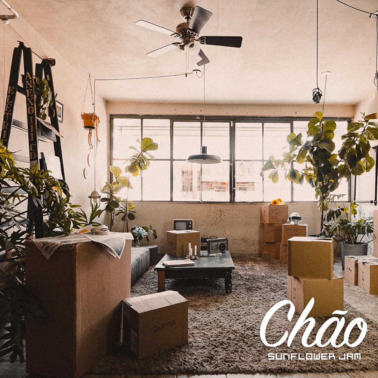 Релиз Chão