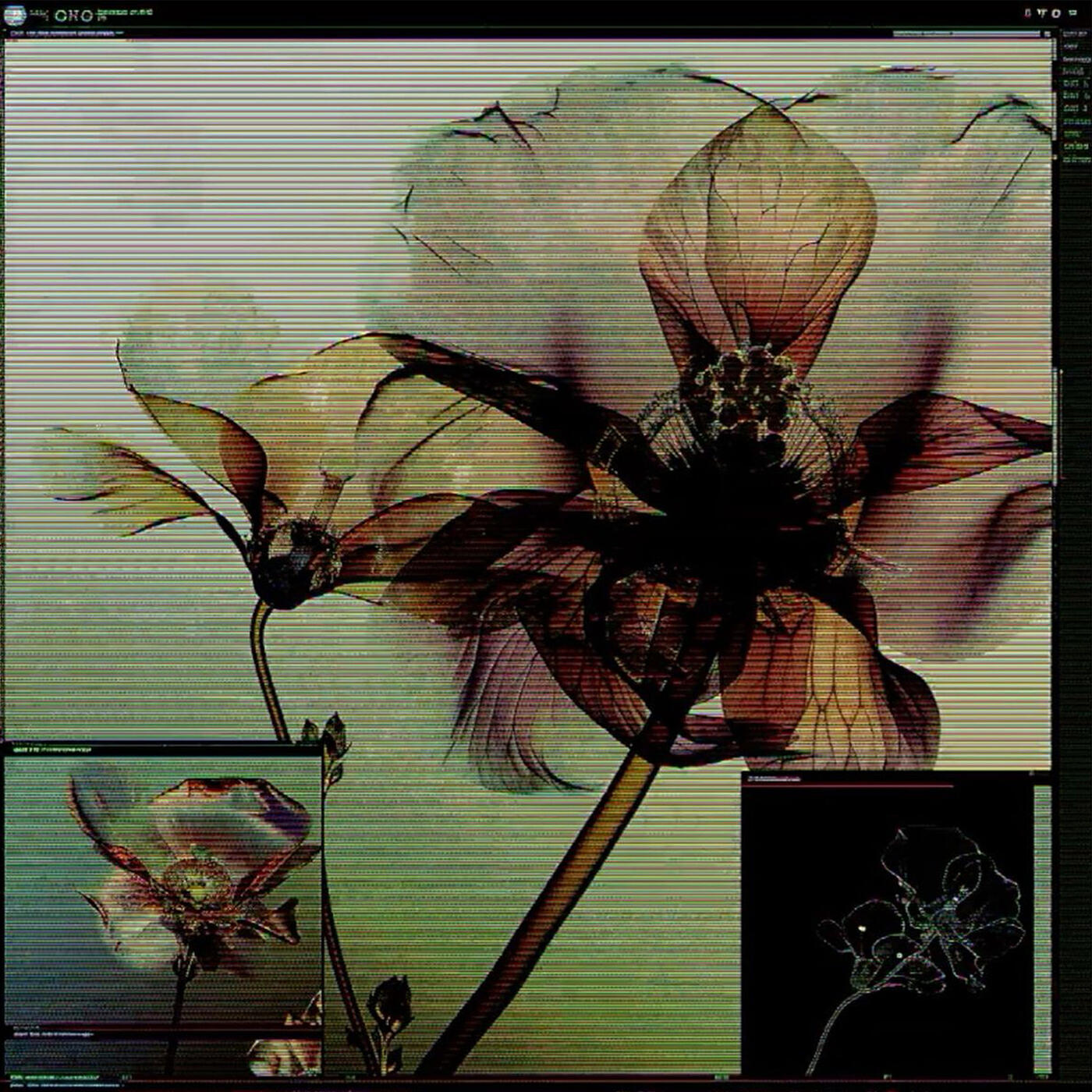 Релиз Lying on the Track (Lose Yourself)