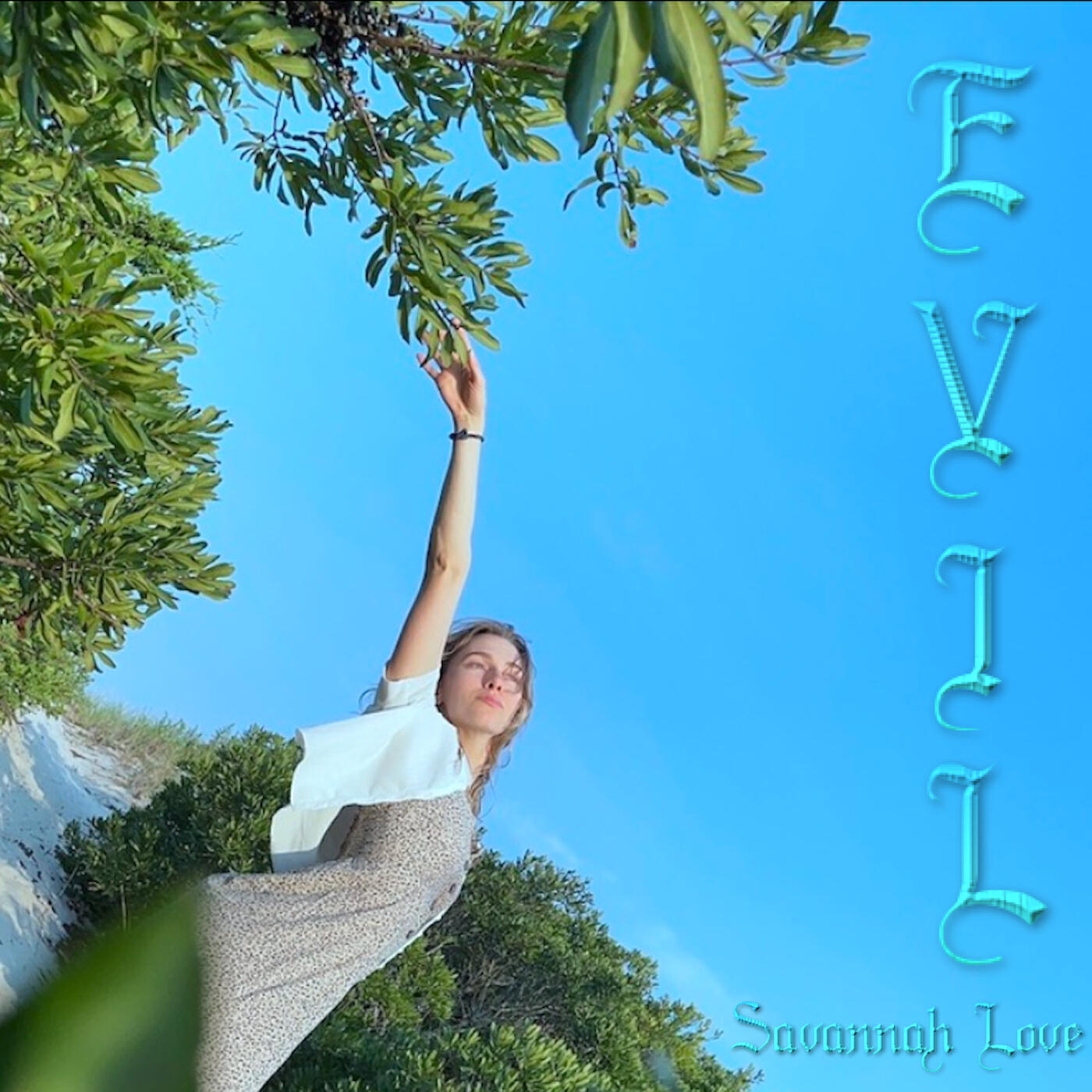 Релиз Evil