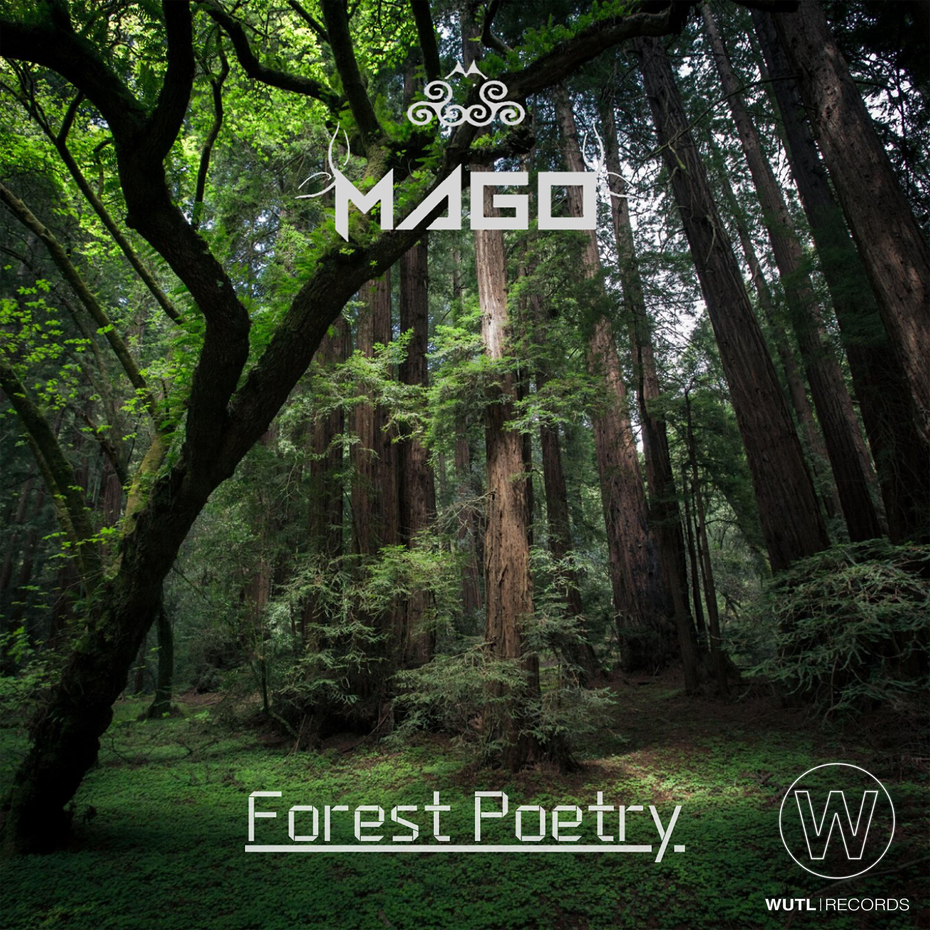 Релиз Forest Poetry