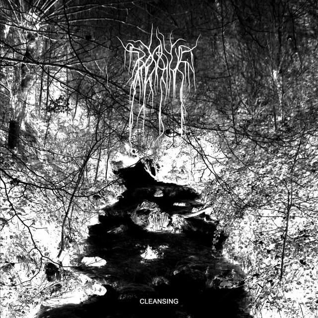 Релиз Cleansing