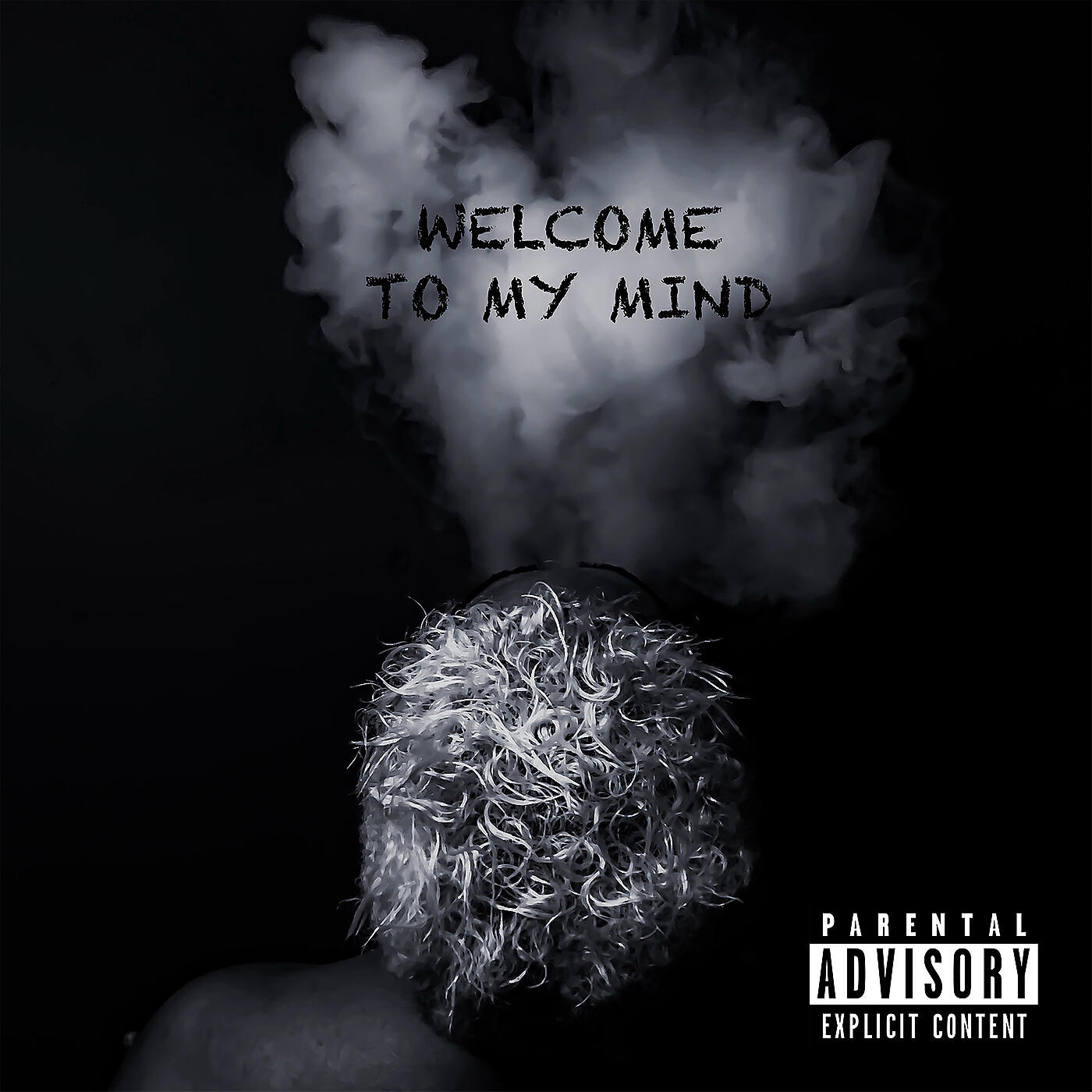 Постер альбома Welcome to My Mind