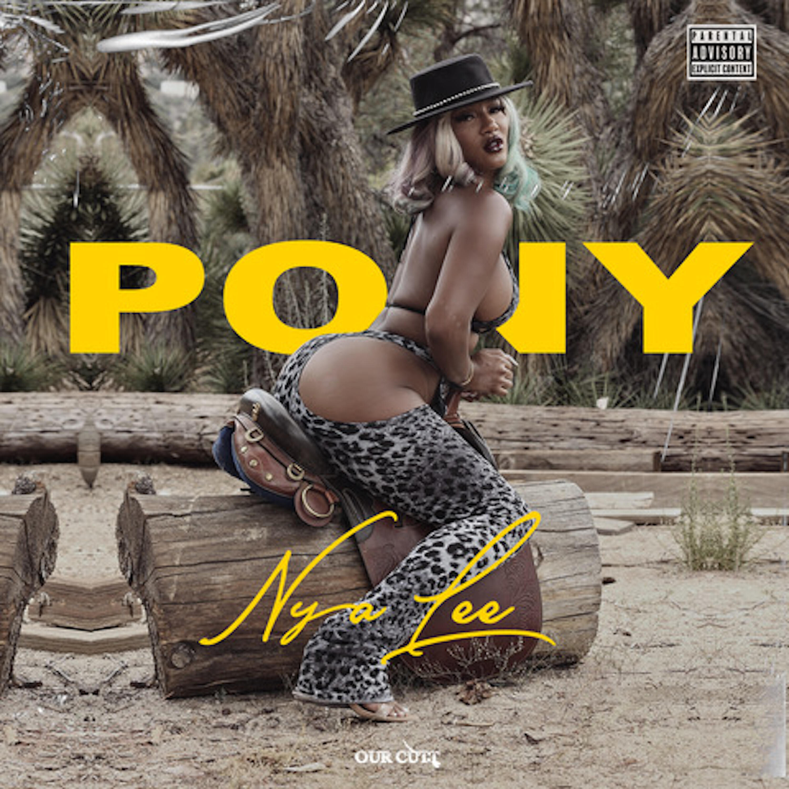 Релиз Pony