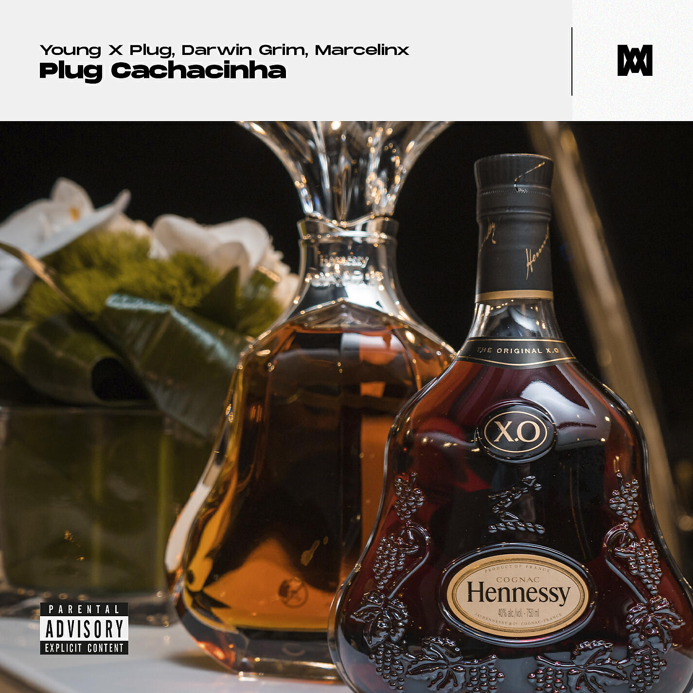 Релиз Plug Cachacinha