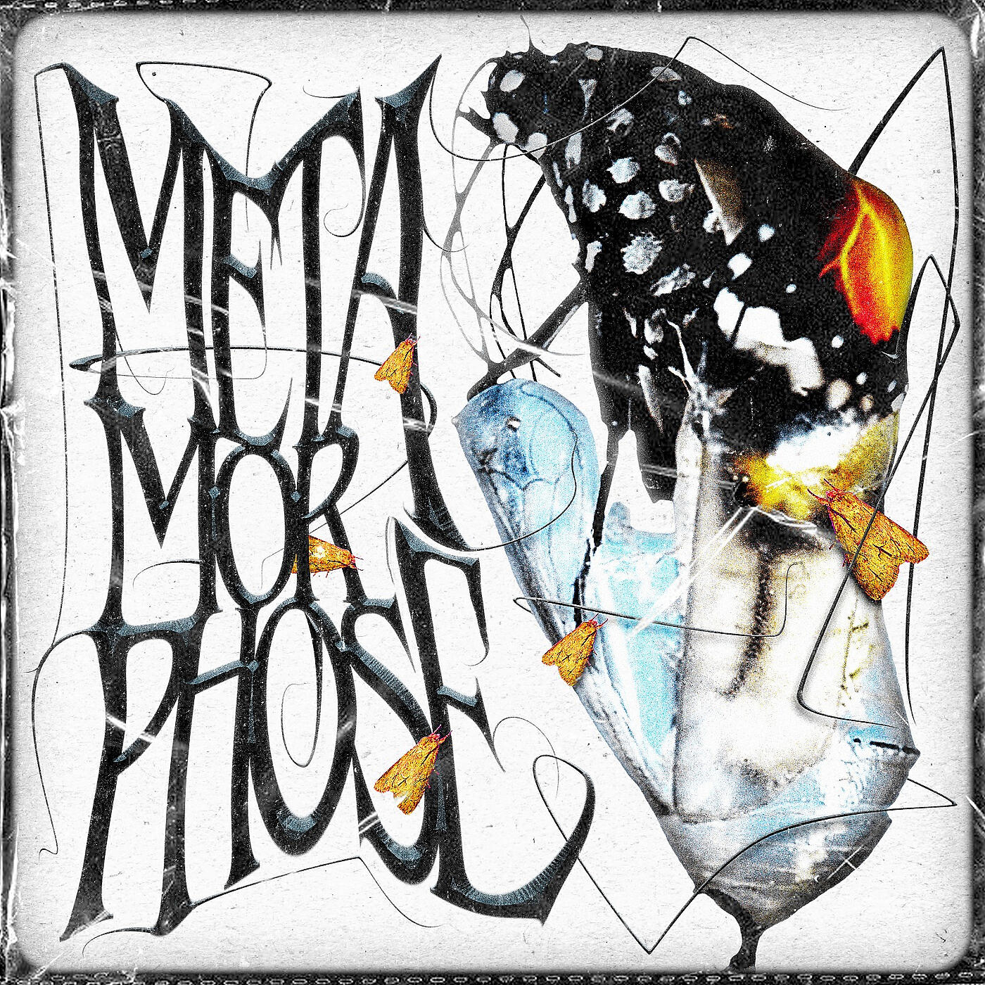 Релиз Metamorphose