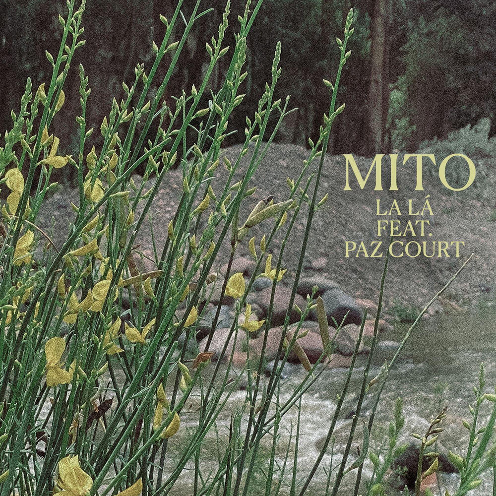 Релиз Mito
