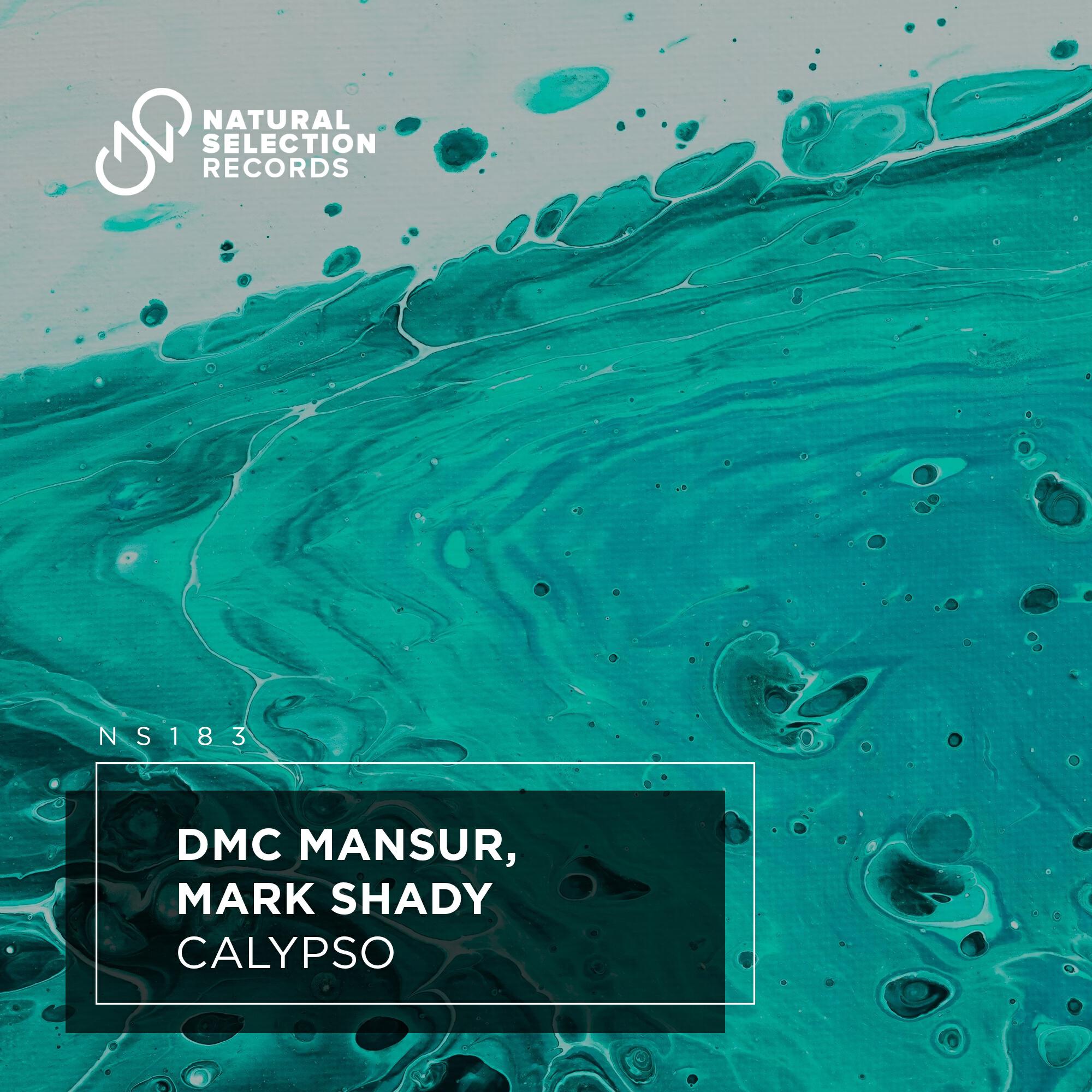 Релиз Calypso
