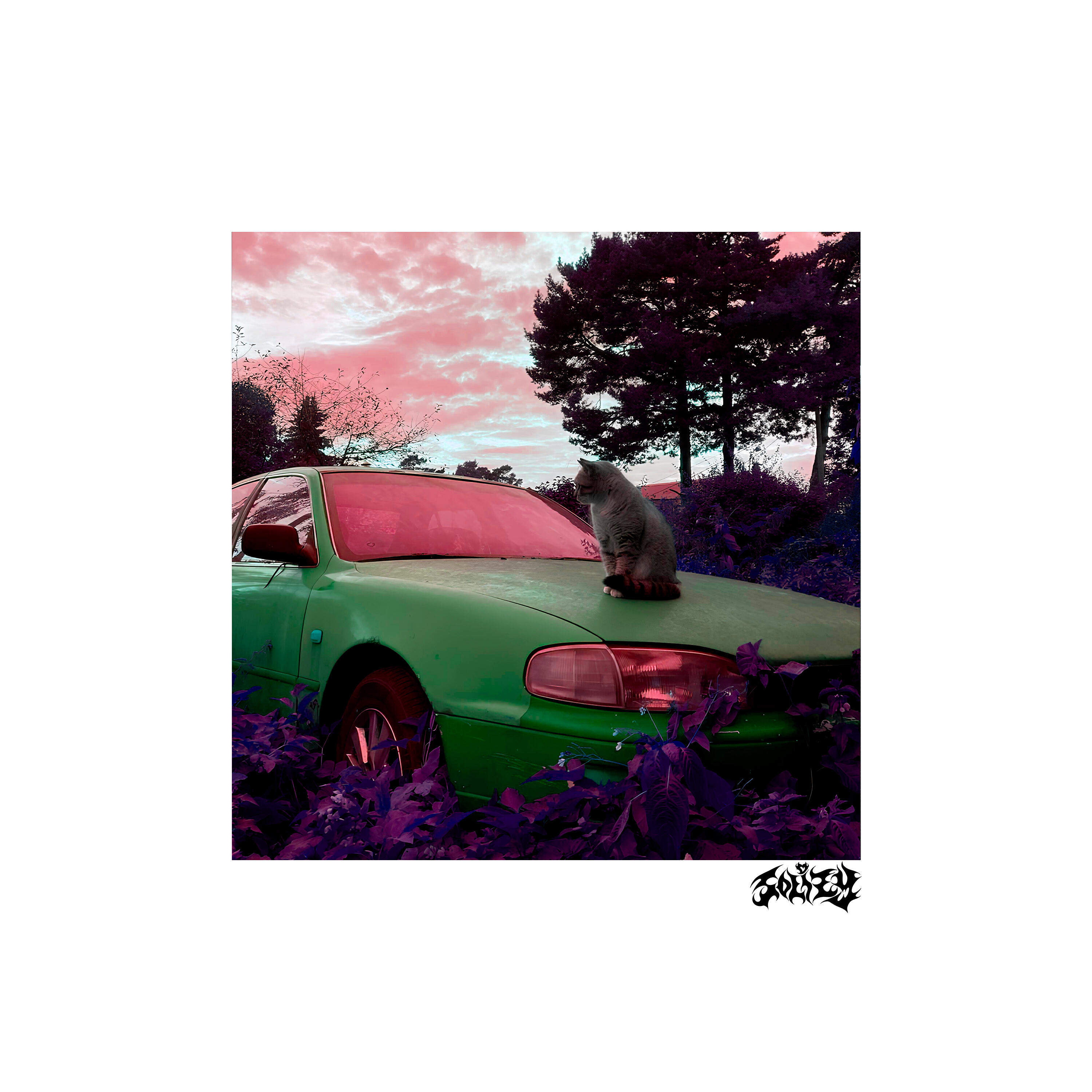 Релиз Summer