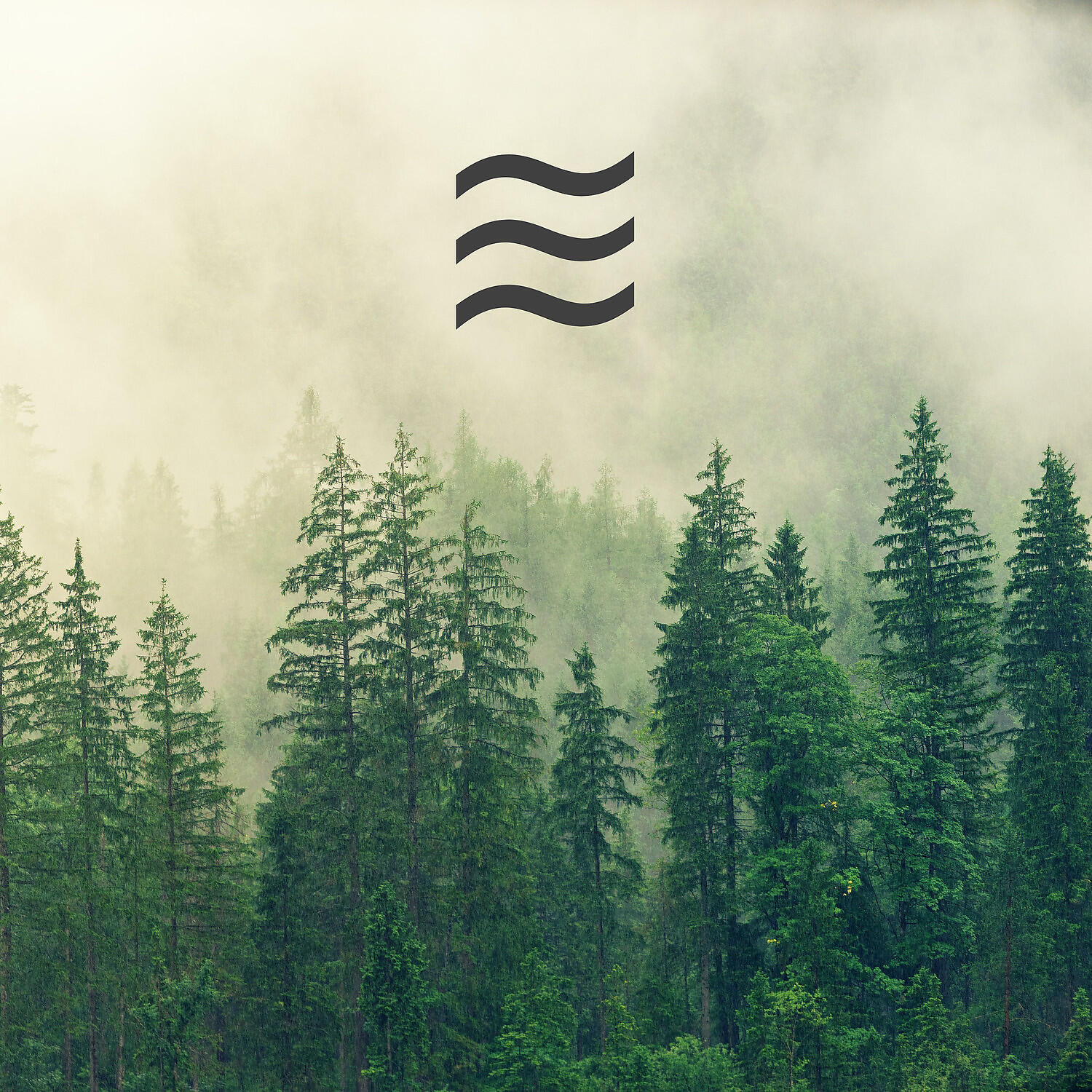 Релиз Soothing Smooth Sounds of Rain
