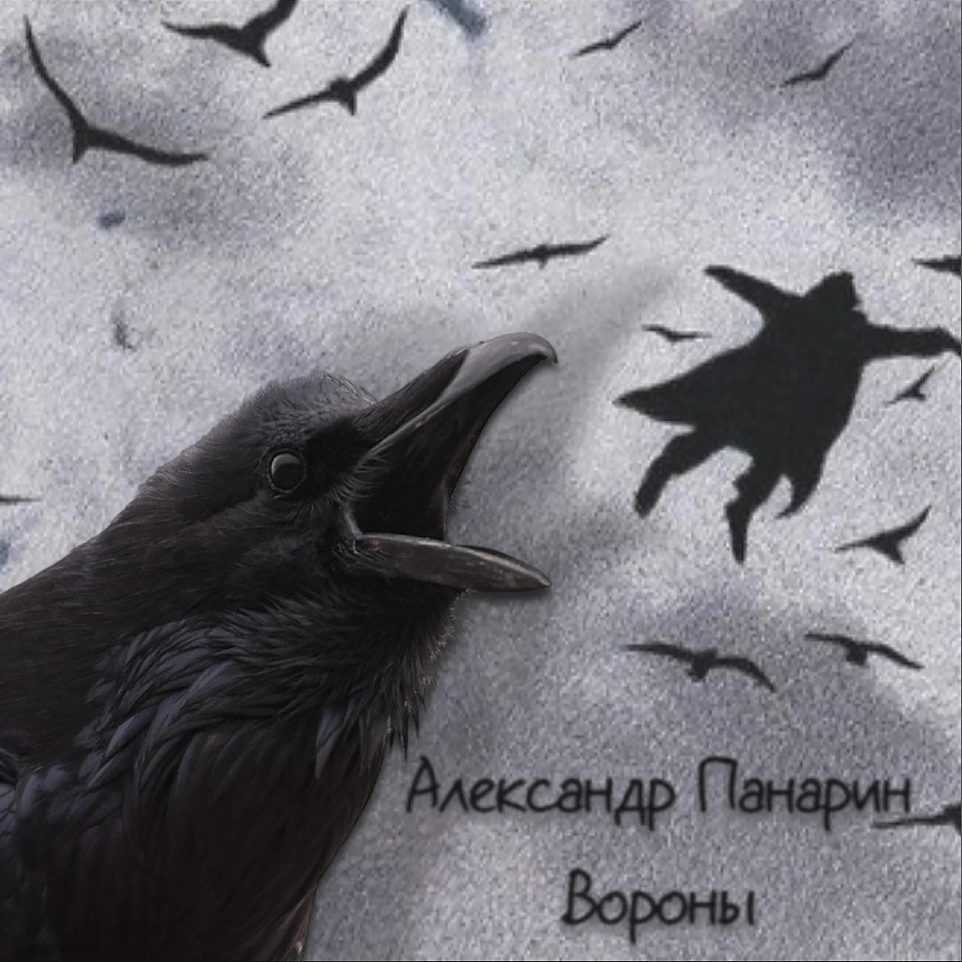 Изображение артиста