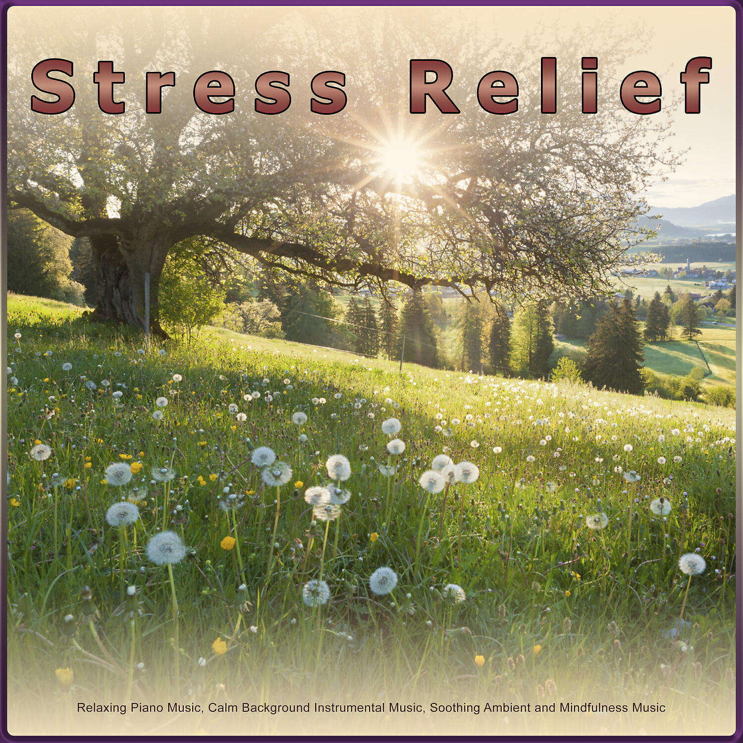 Релиз Stress Relief: Relaxing Piano Music, Calm Background Instrumental Music, Soothing Ambient and Mindfulness Music