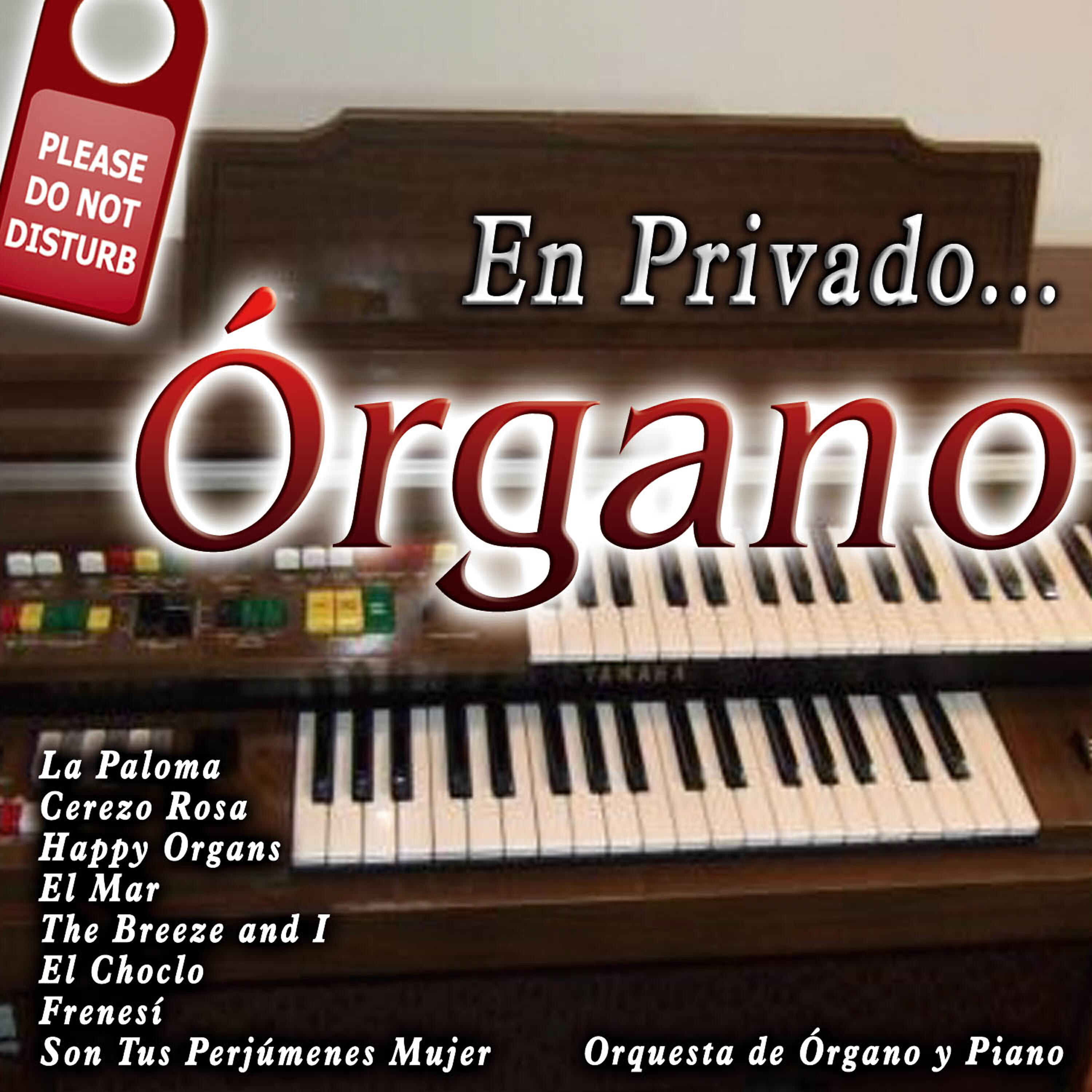 Постер альбома En Privado... Organo