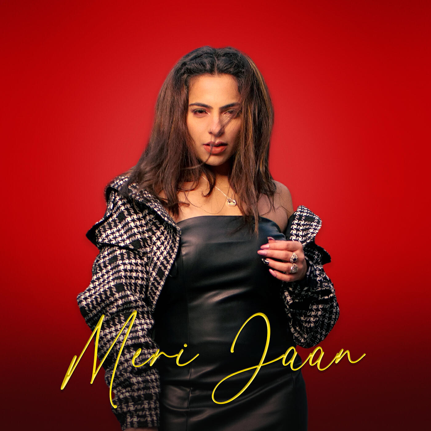 Релиз Meri Jaan