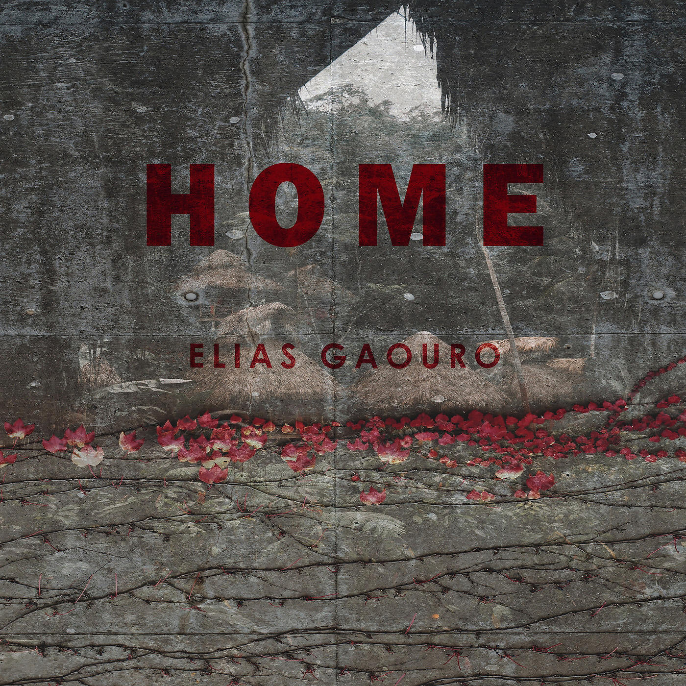 Релиз Home