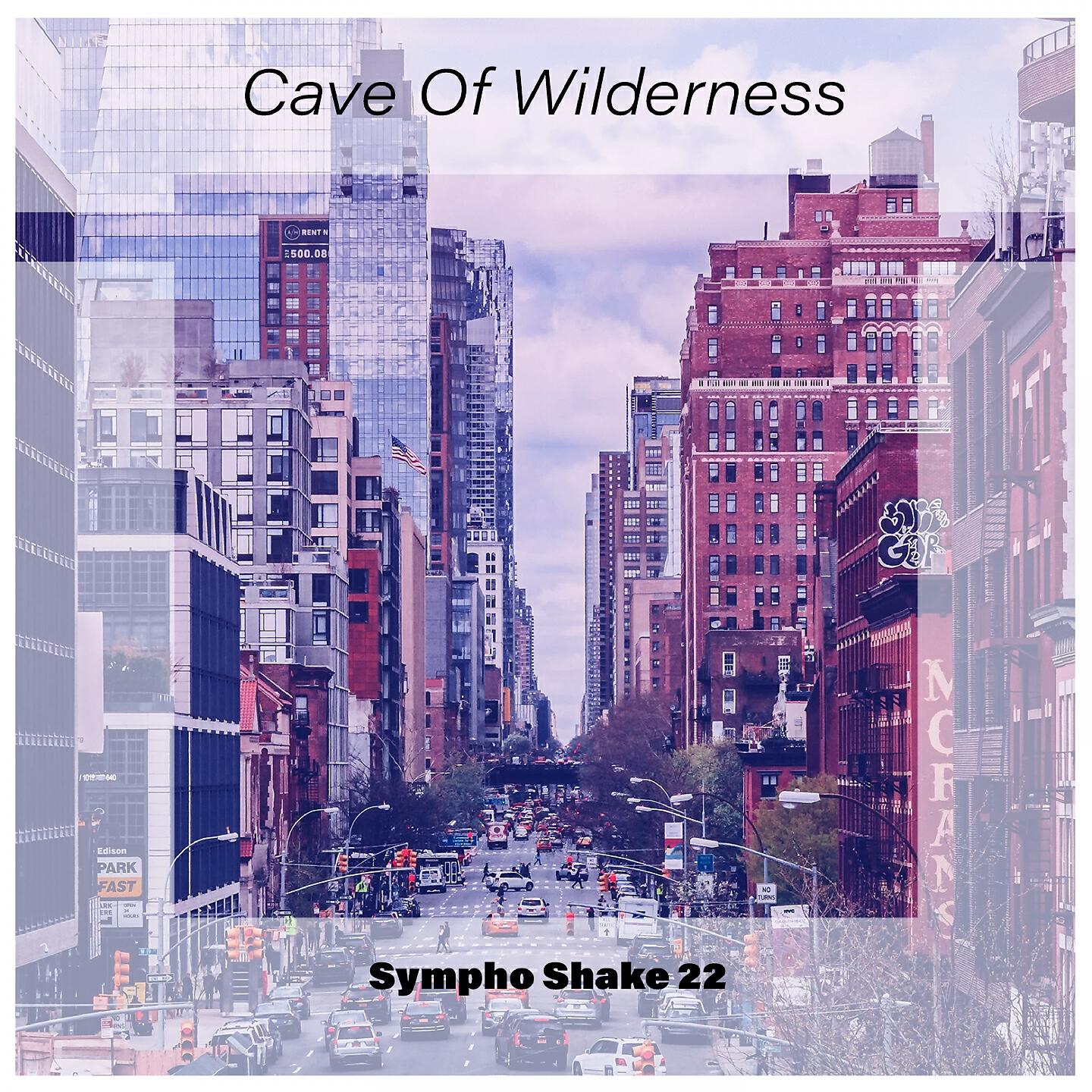 Релиз Cave of Wilderness Sympho Shake 22