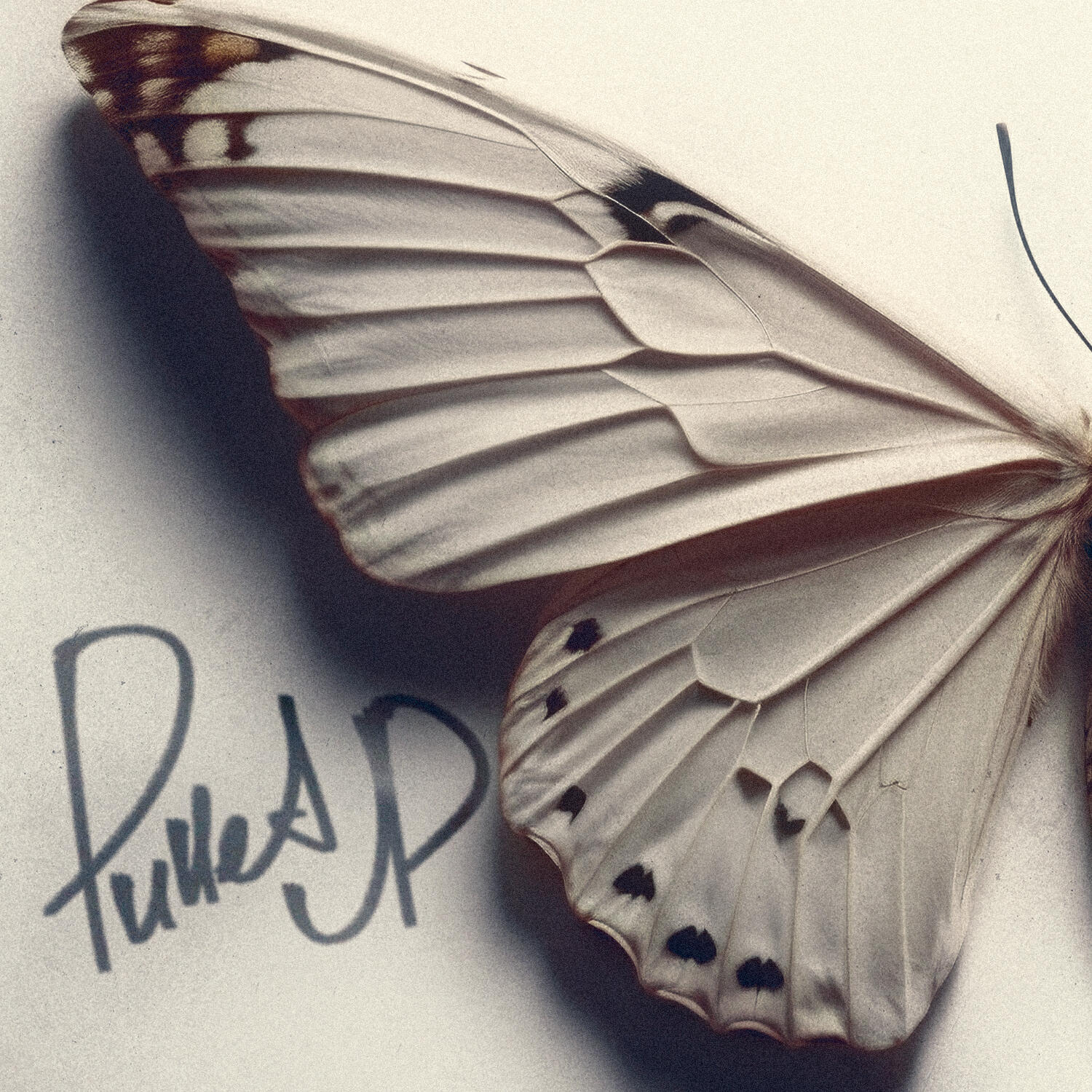 Релиз Pulled Up