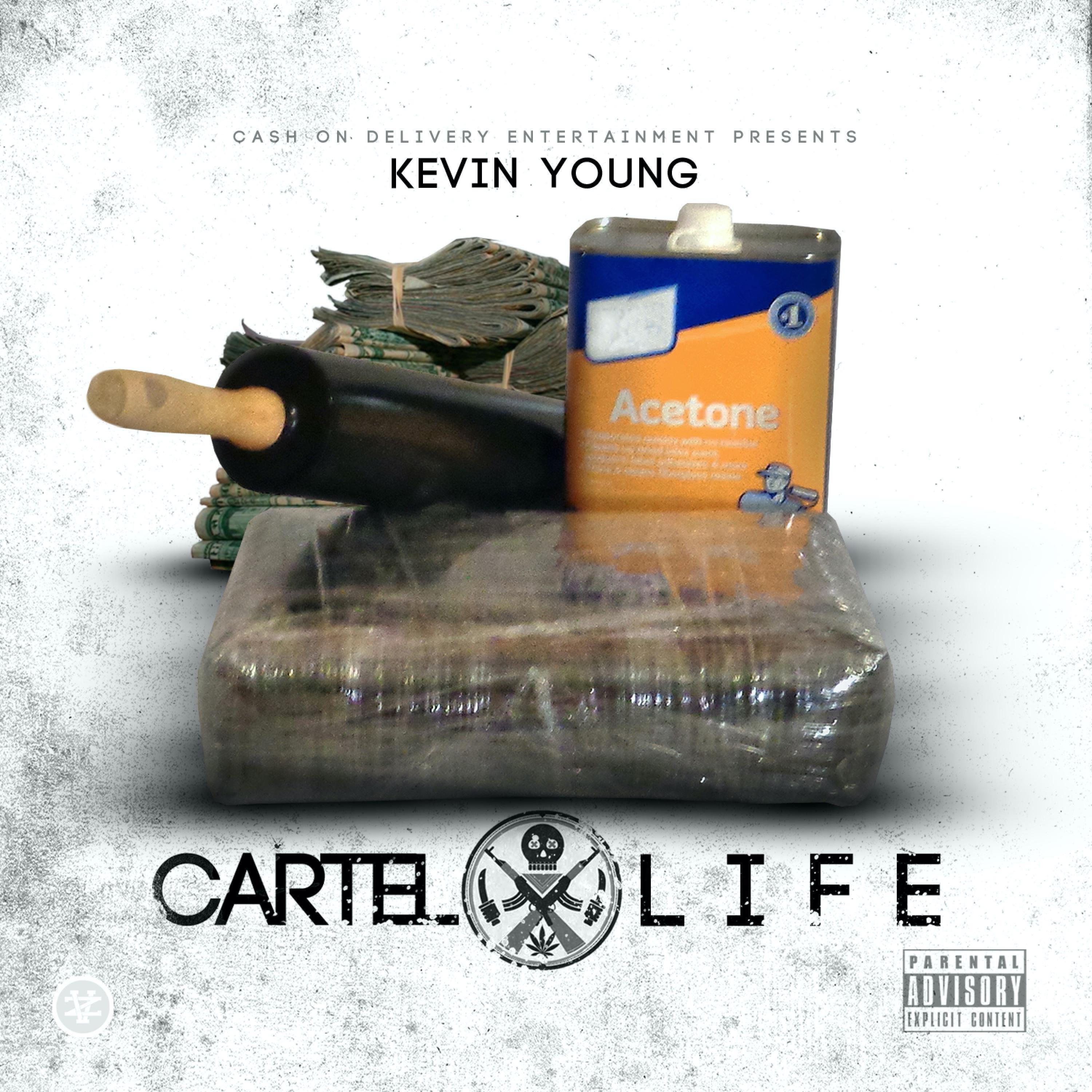 Релиз Cartel Life