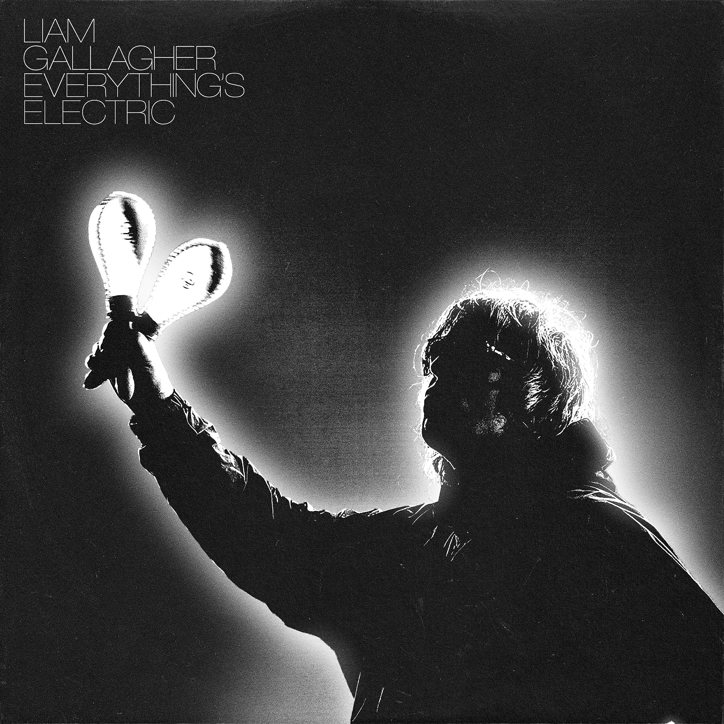 Релиз Everything's Electric