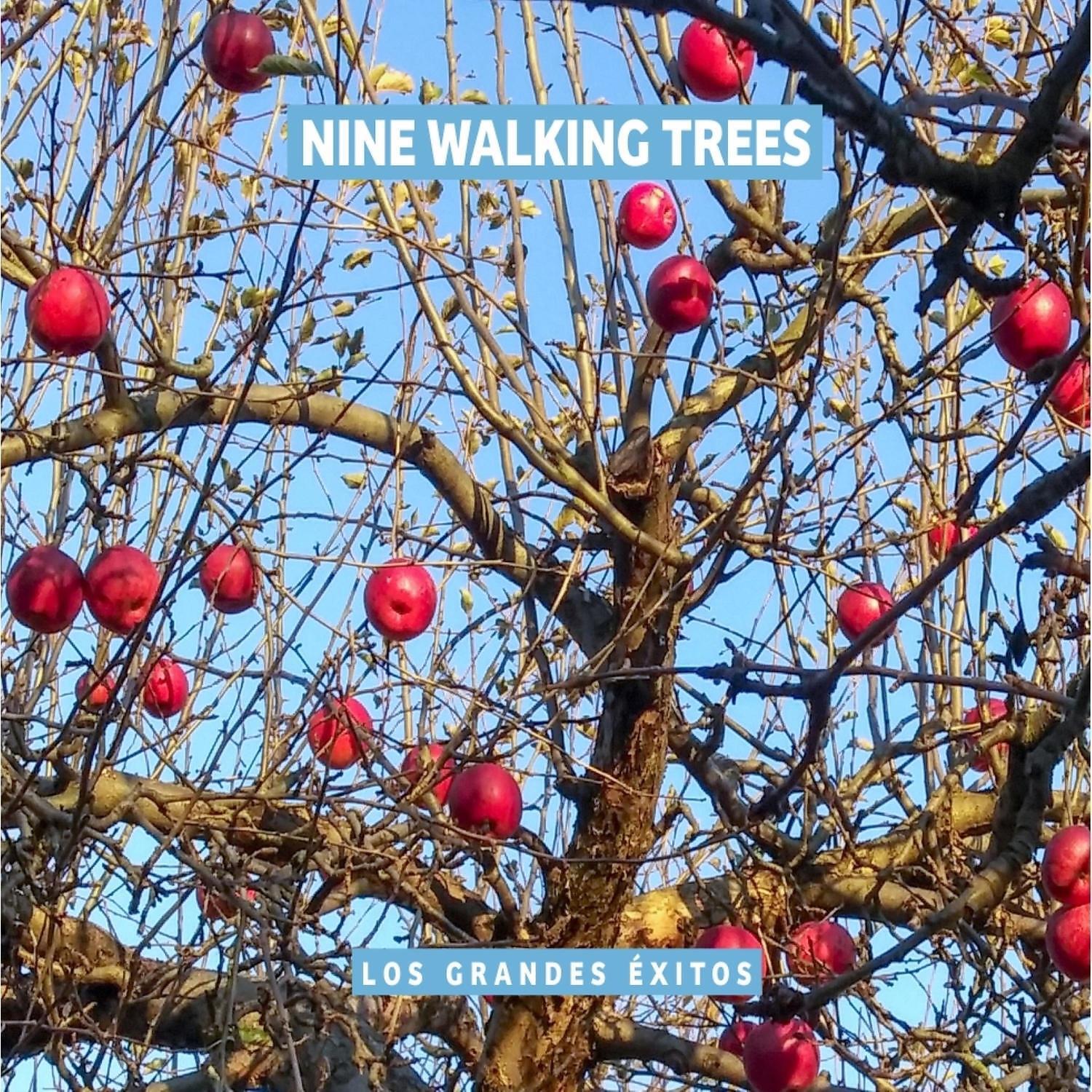 Nine Walking Trees