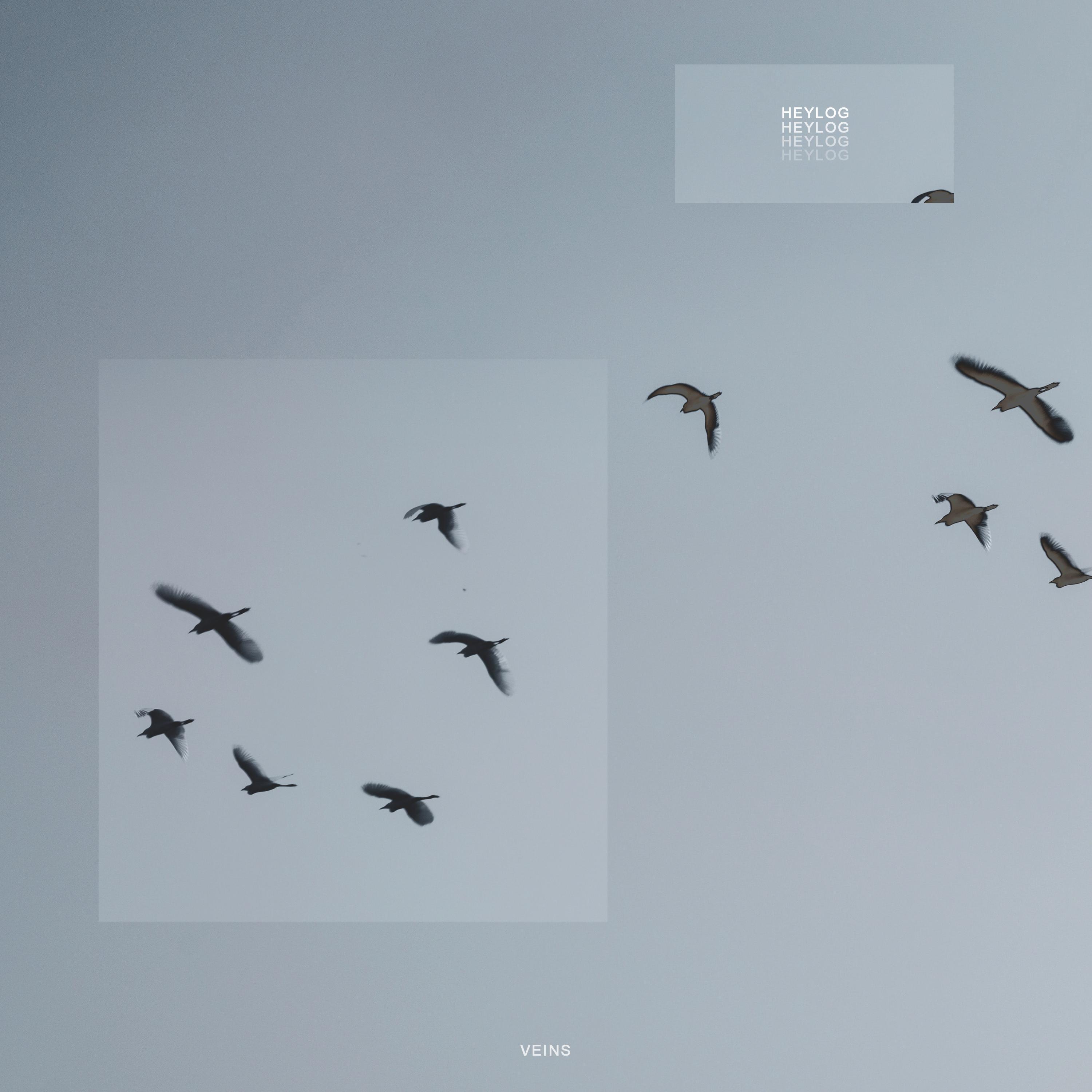 Релиз veins