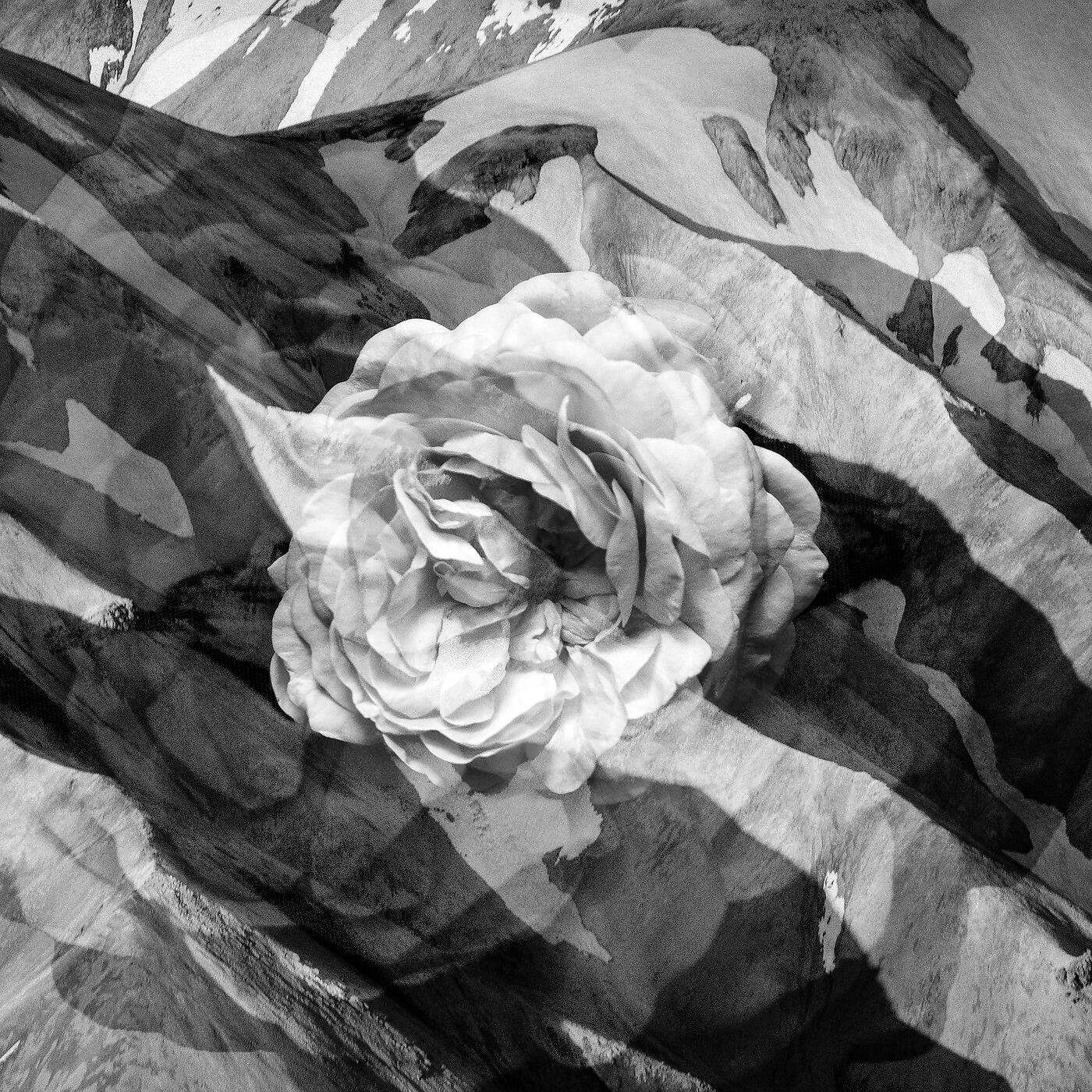 Релиз Wrath