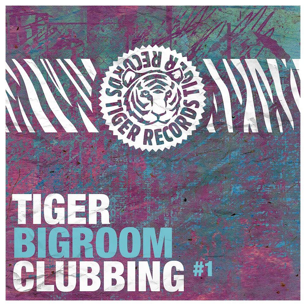 Релиз Tiger Bigroom Clubbing, Vol. 1