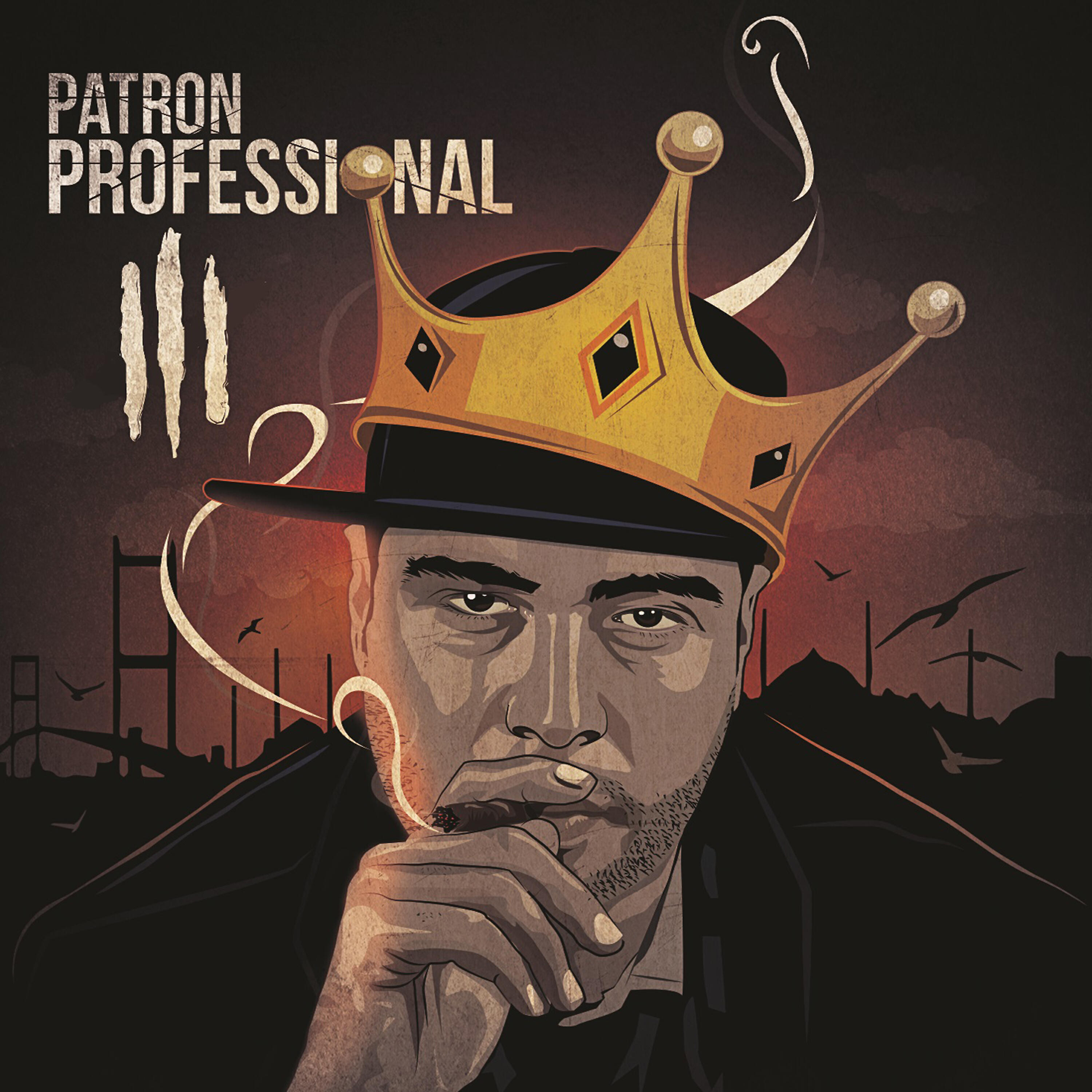 Релиз Professional 3