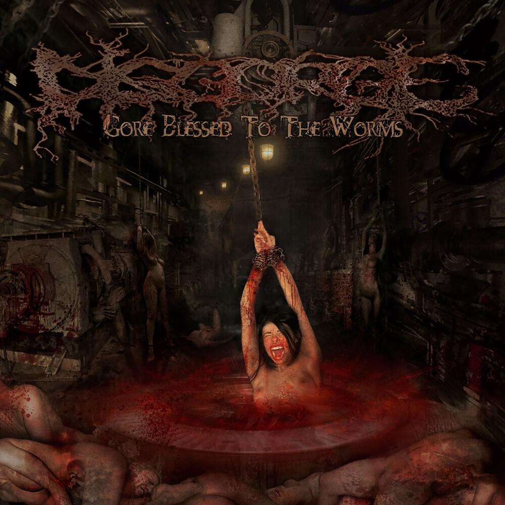 Disgorge Mex