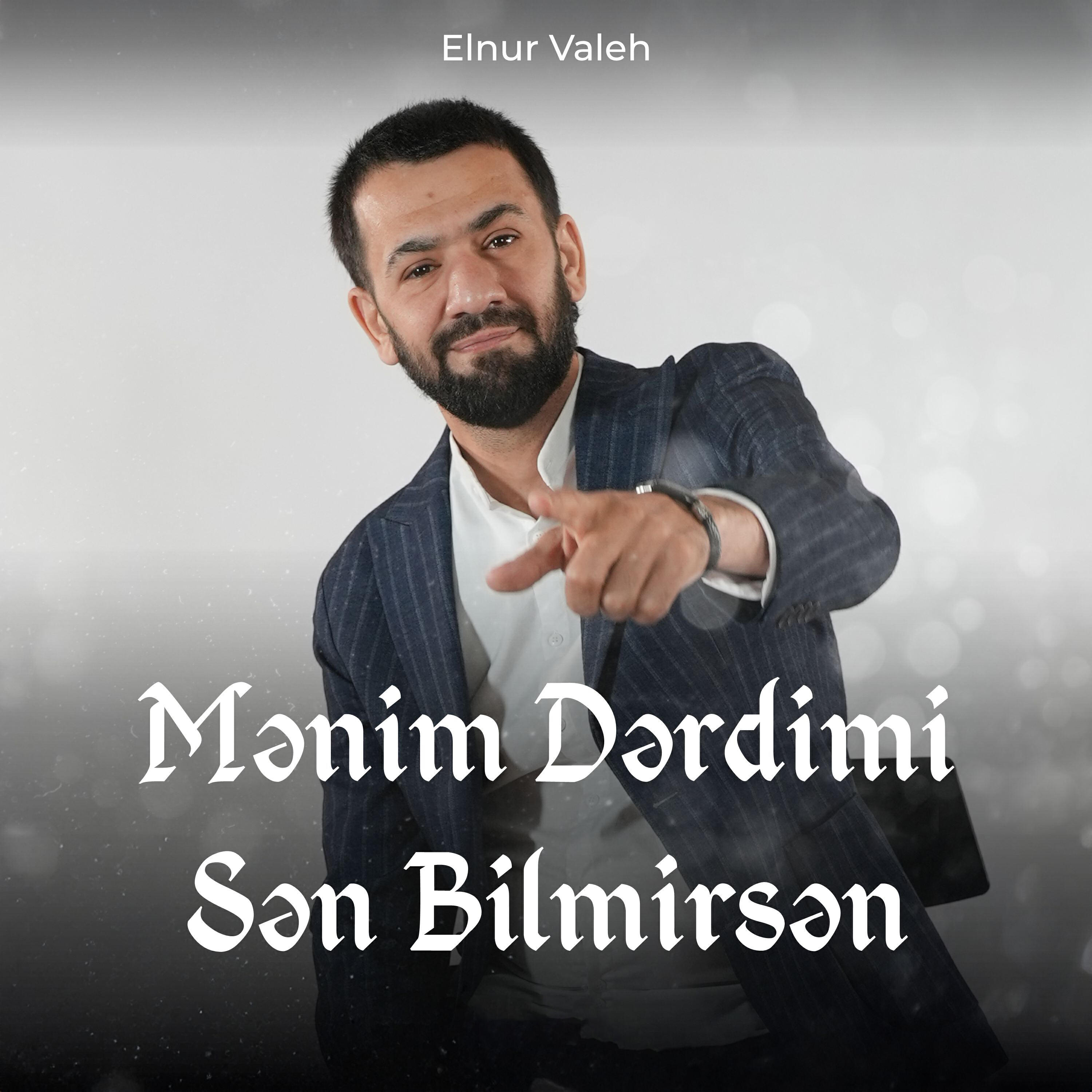 Постер альбома Mənim Dərdimi Sən Bilmirsən