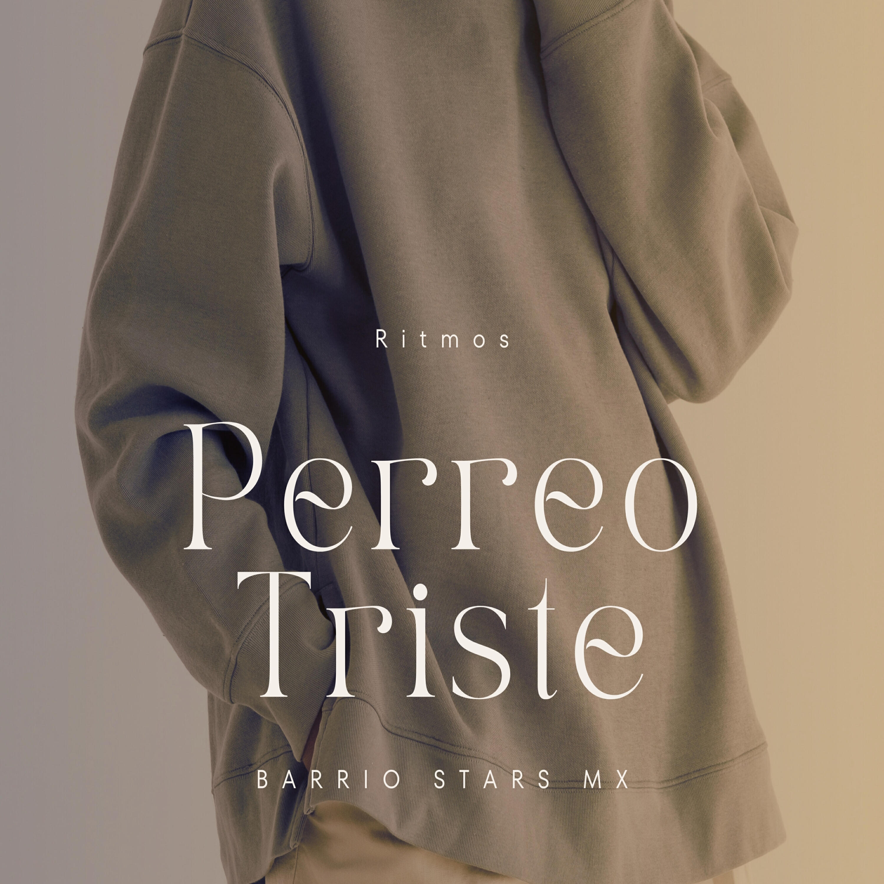 Релиз Perreo Triste