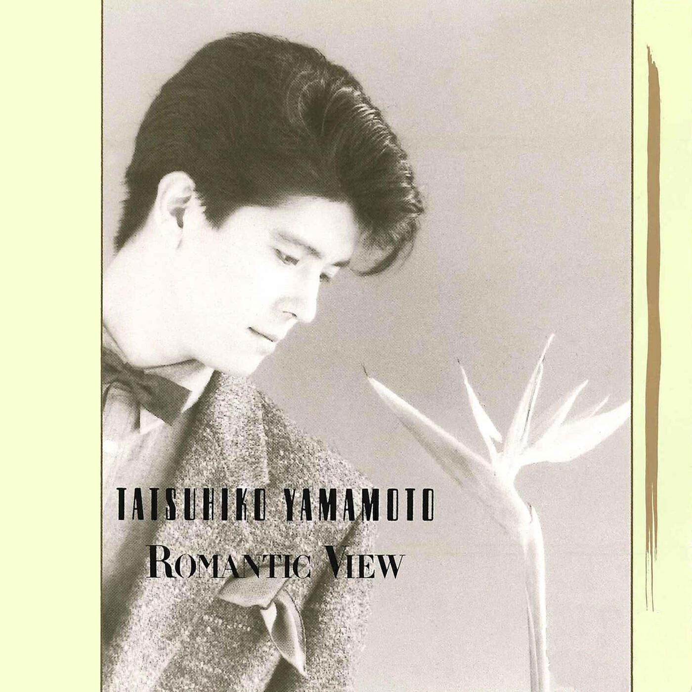 Релиз ROMANTIC VIEW