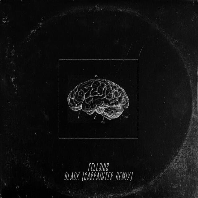 Релиз Black (Carpainter Remix)