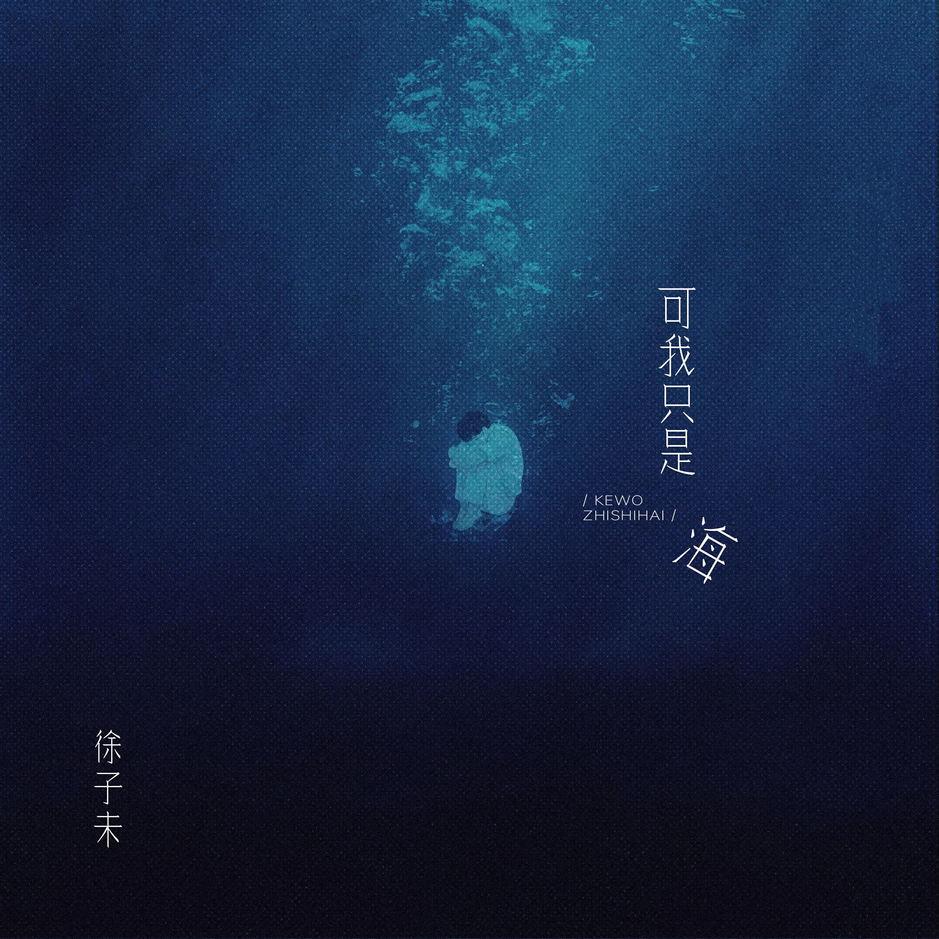 Релиз 可我只是海