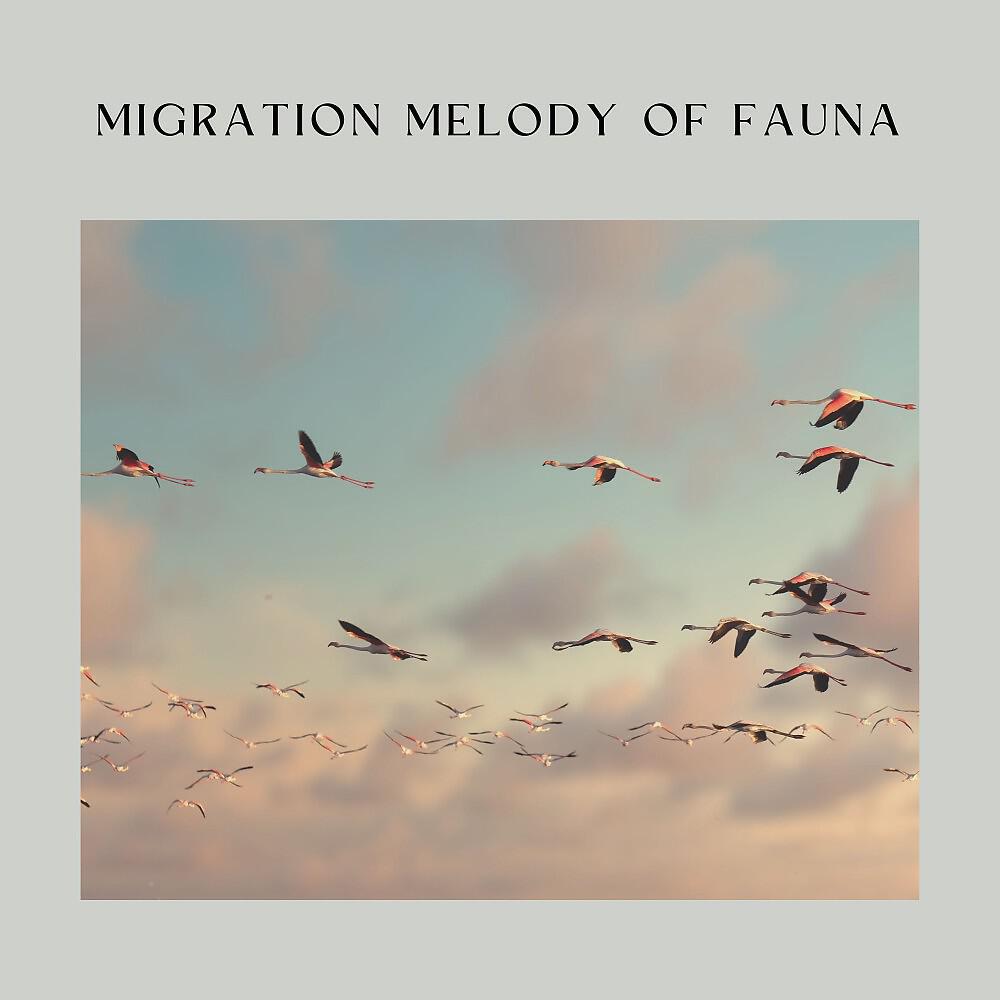 Релиз Migration Melody of Fauna