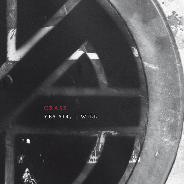 Релиз Yes Sir, I Will