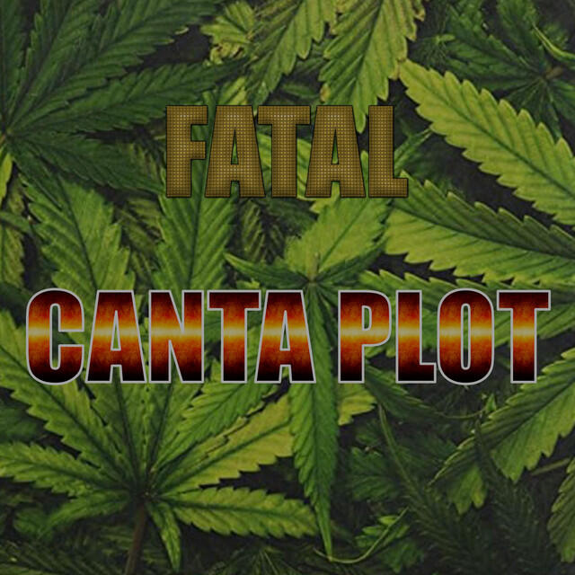 Релиз Canta Plot