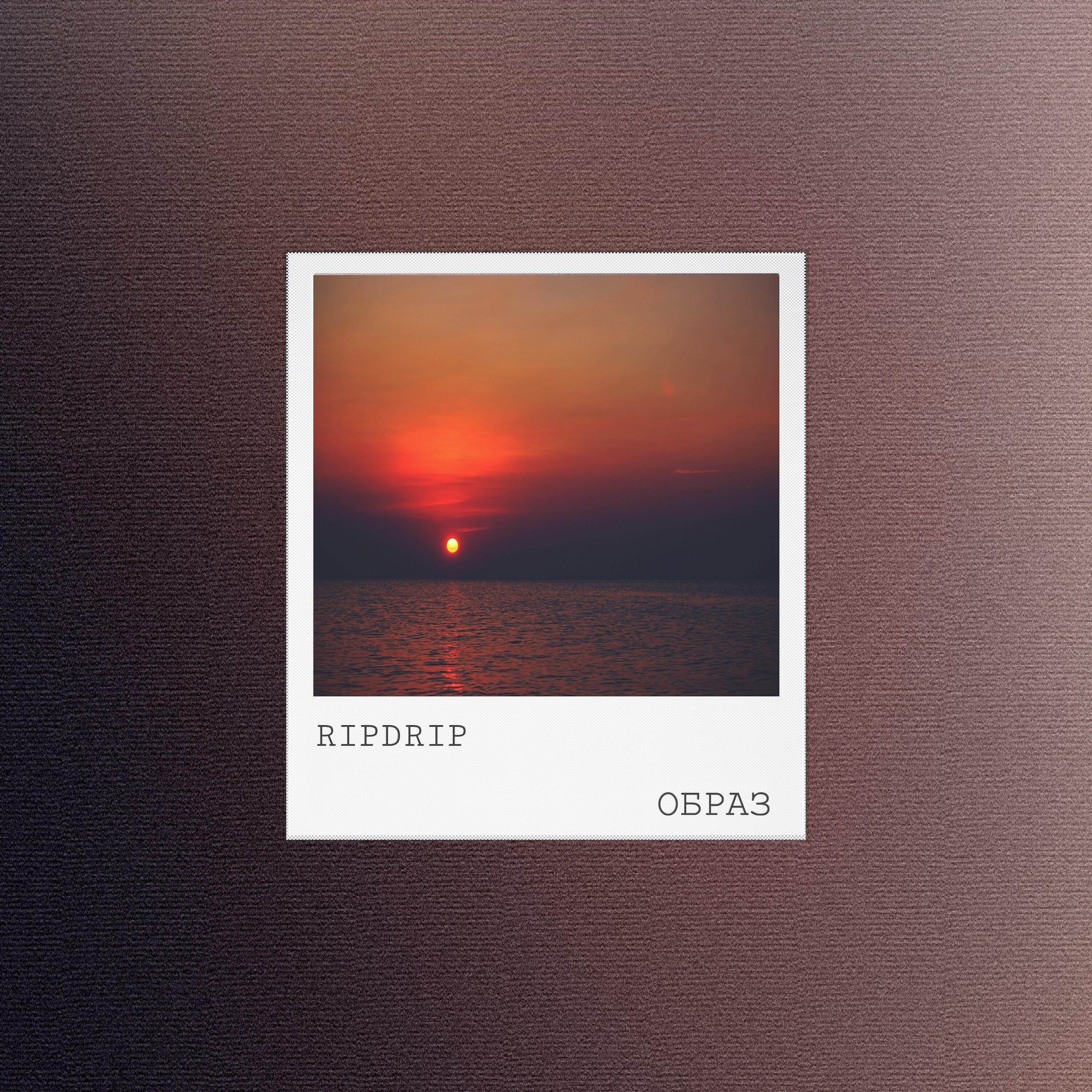 Релиз Образ
