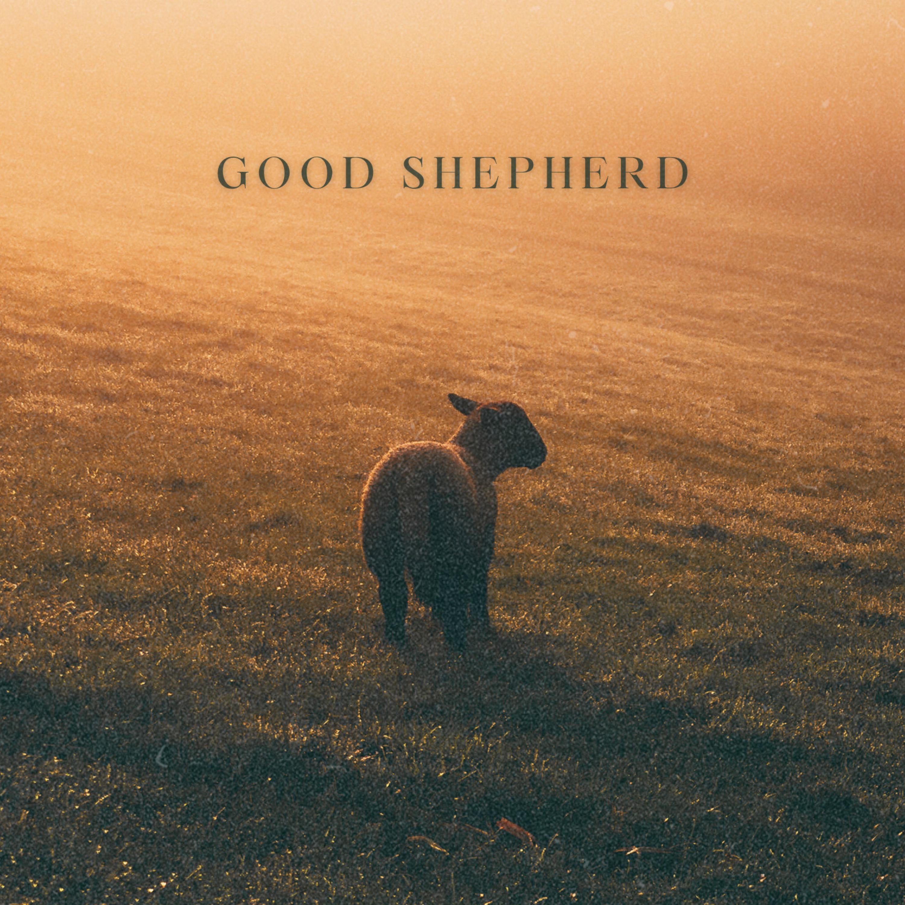 Релиз Good Shepherd