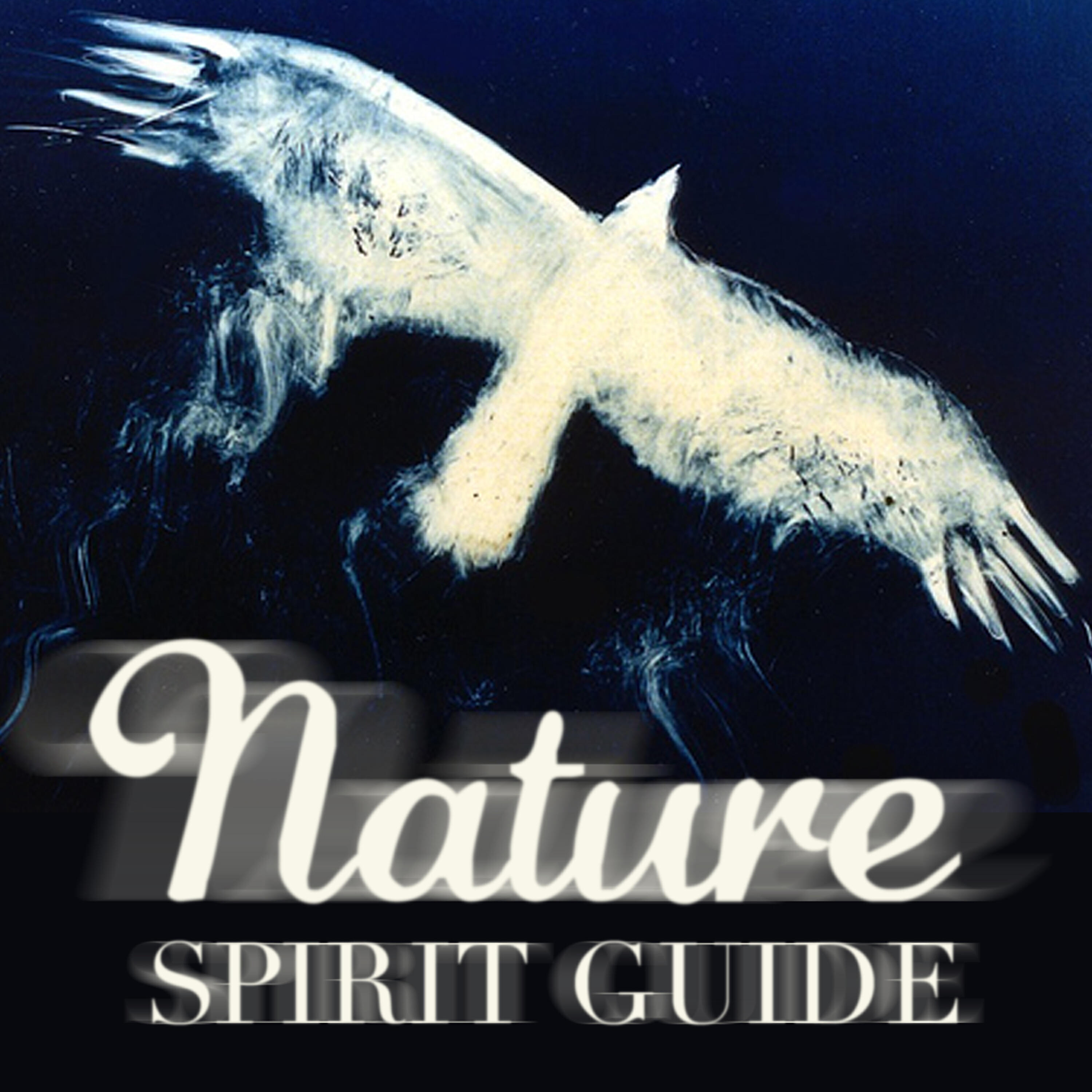 Релиз Nature Spirit Guide (Native Sounds Drums Healing & Peace)