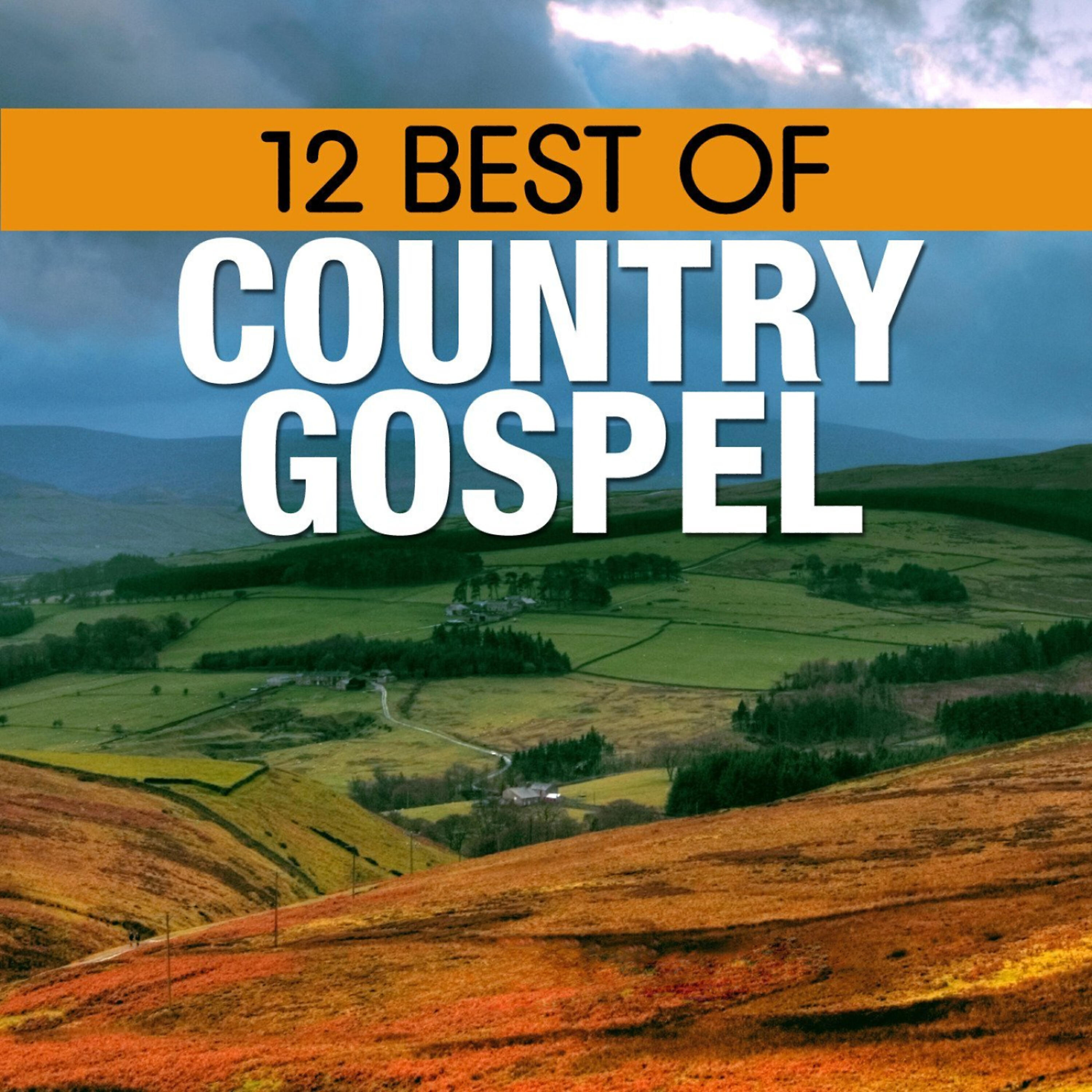 Релиз 12 Best of Country Gospel
