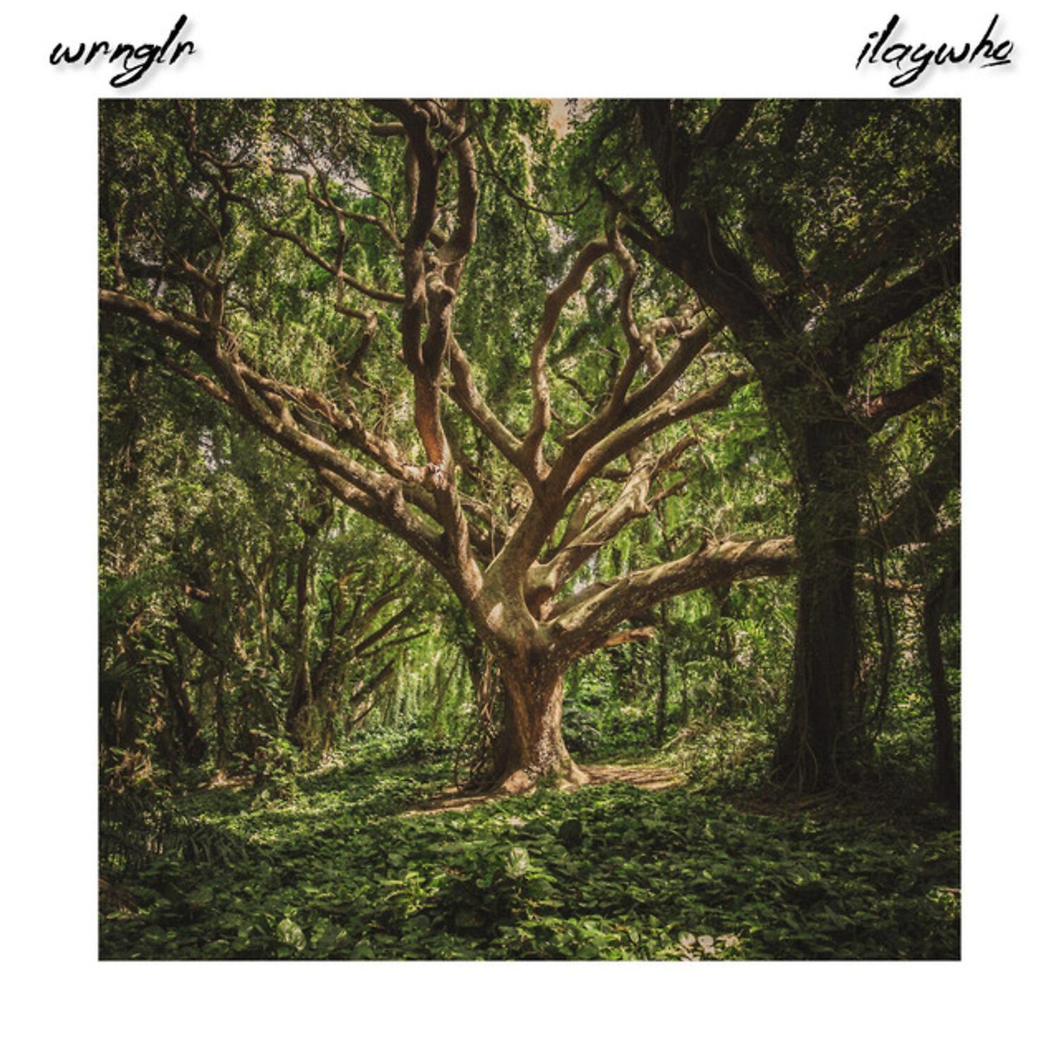 Релиз Forest Fidelity
