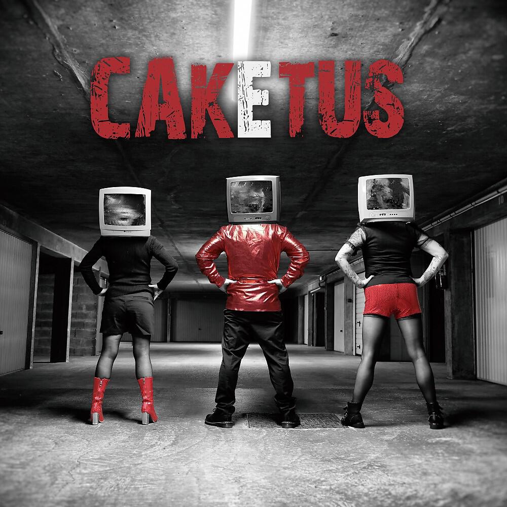 Caketus