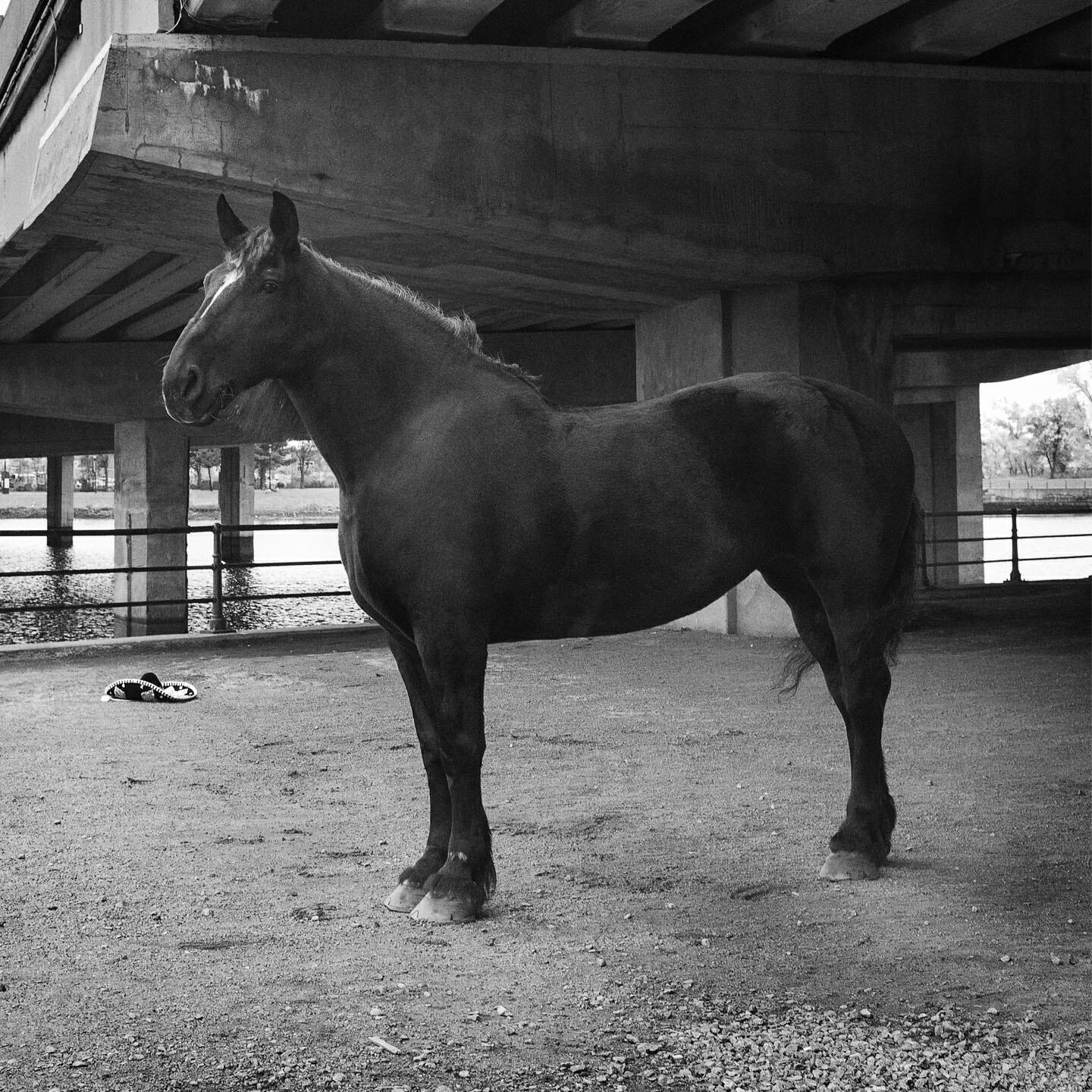 Релиз Chevy Chase