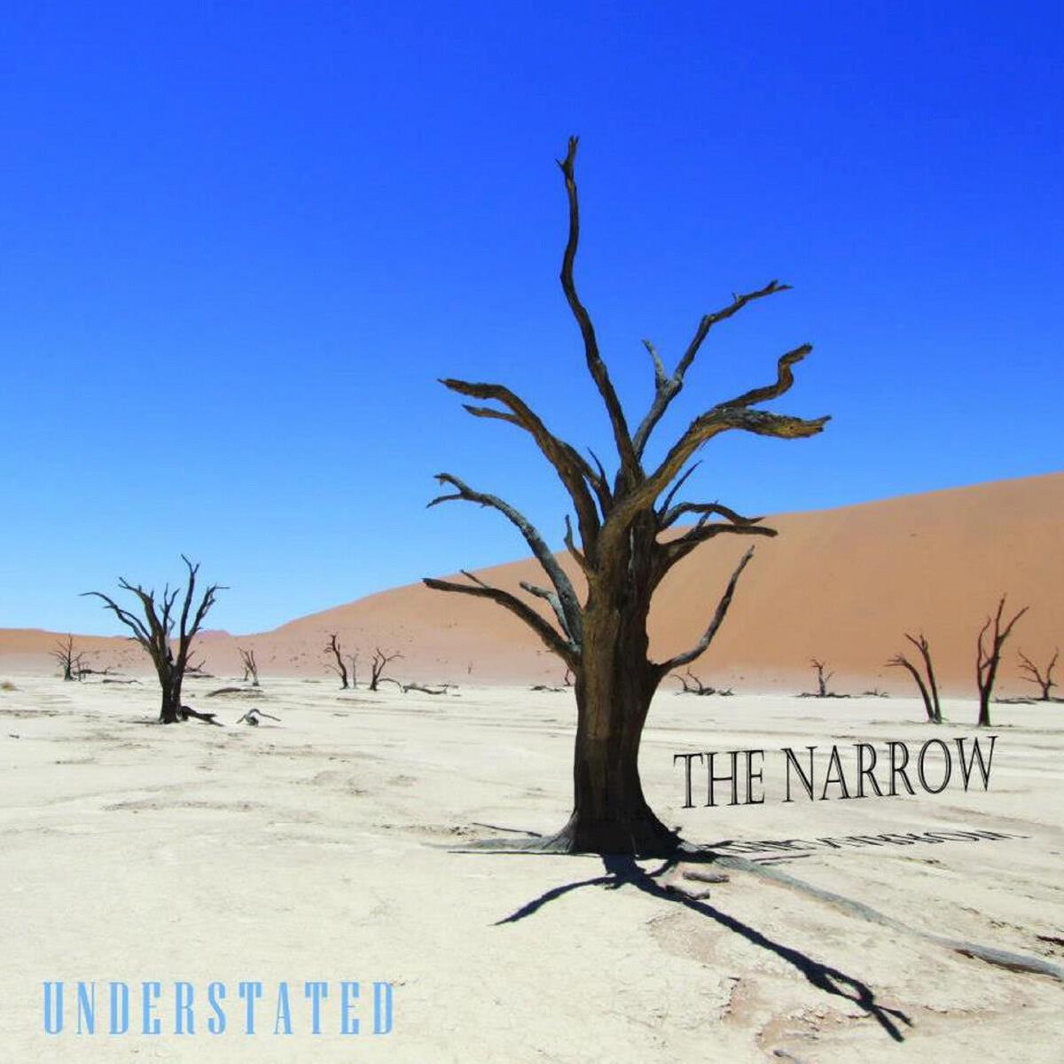 Релиз Understated