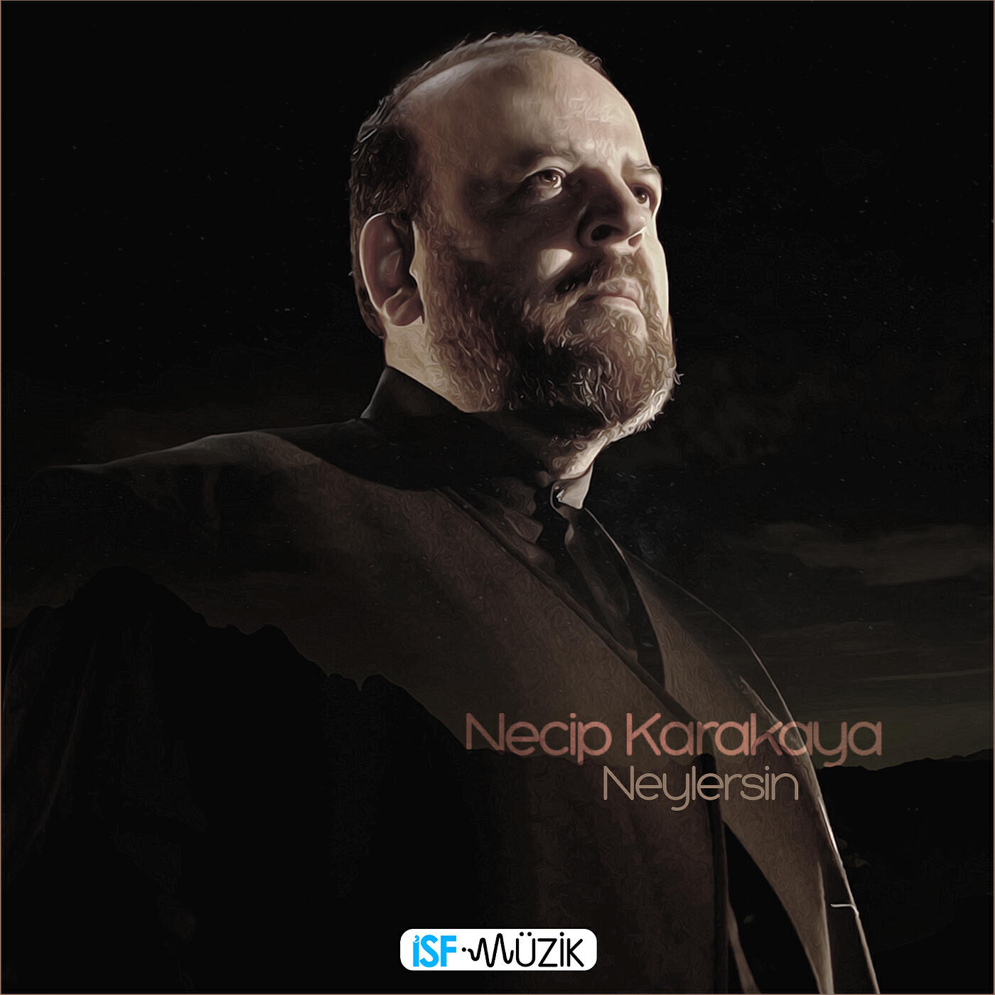 Necip Karakaya