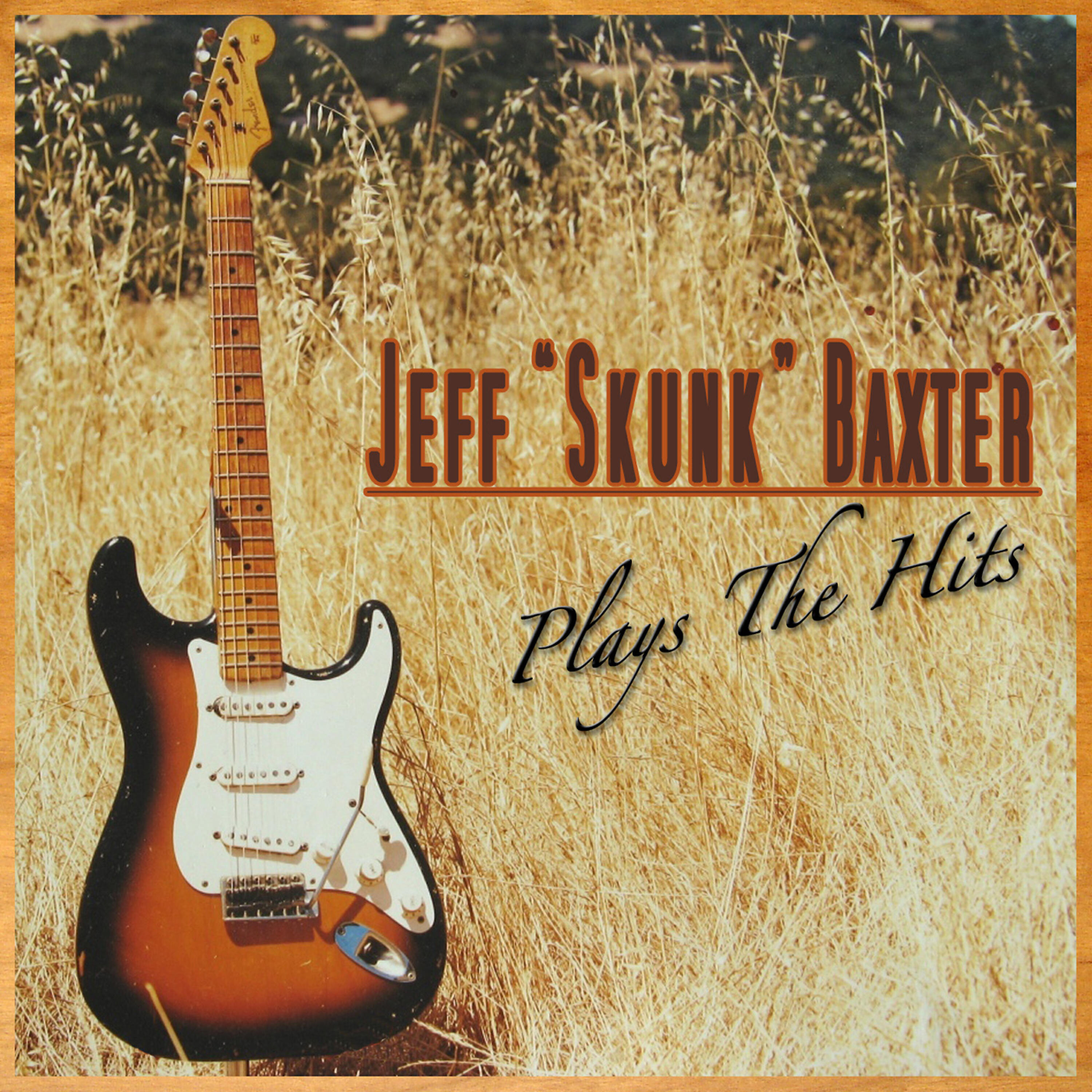 Релиз Plays The Hits