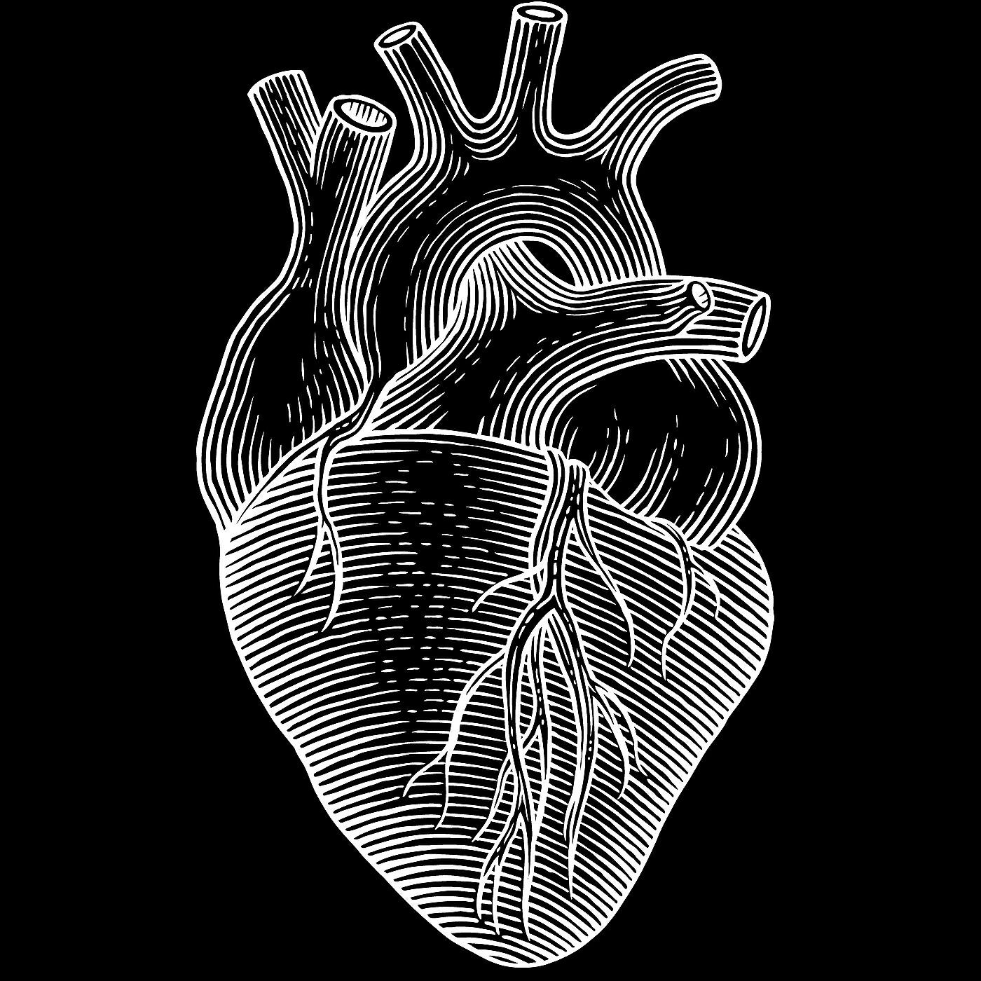 Релиз Black Mark