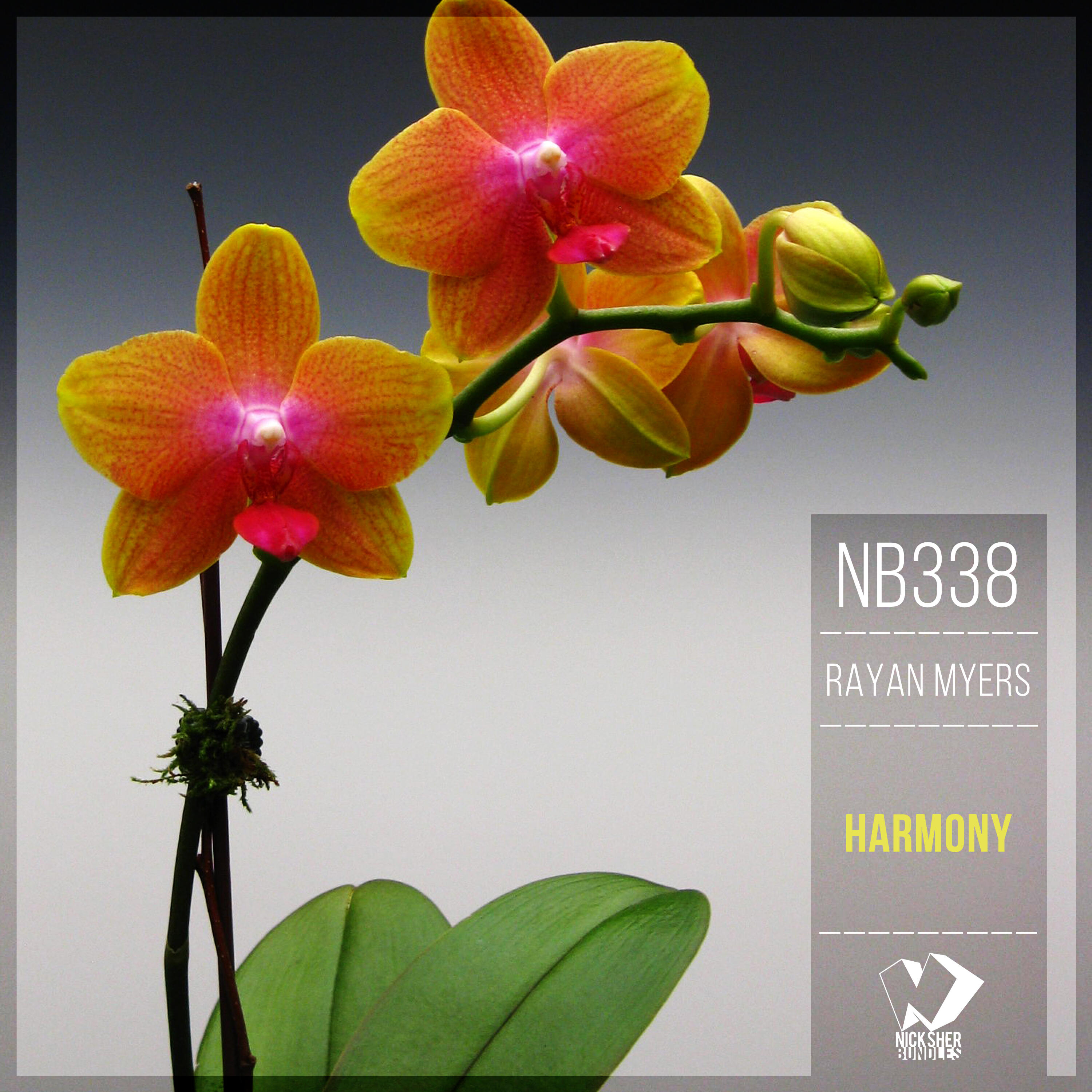 Релиз Harmony (Original Mix)