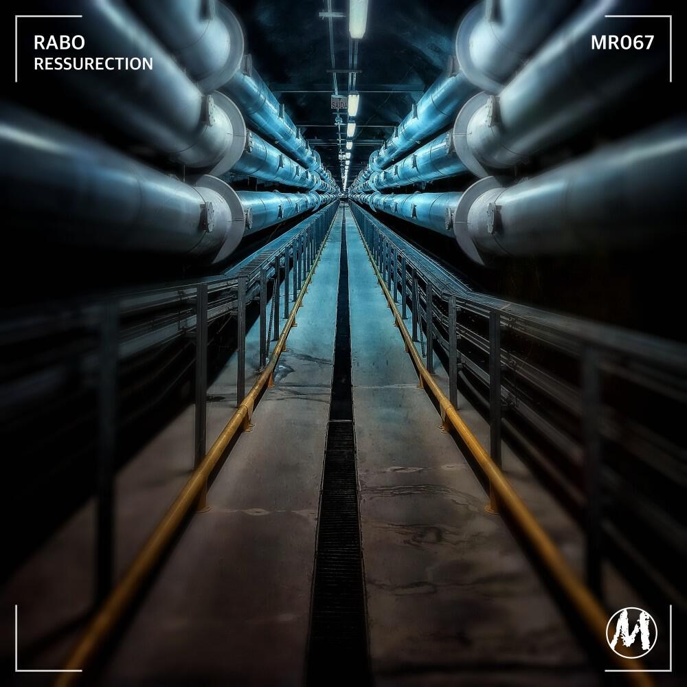 Релиз Resurrection