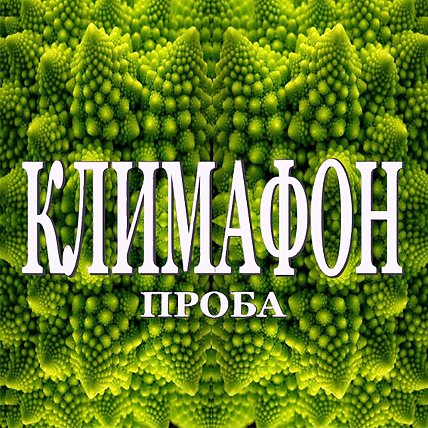 Релиз Проба